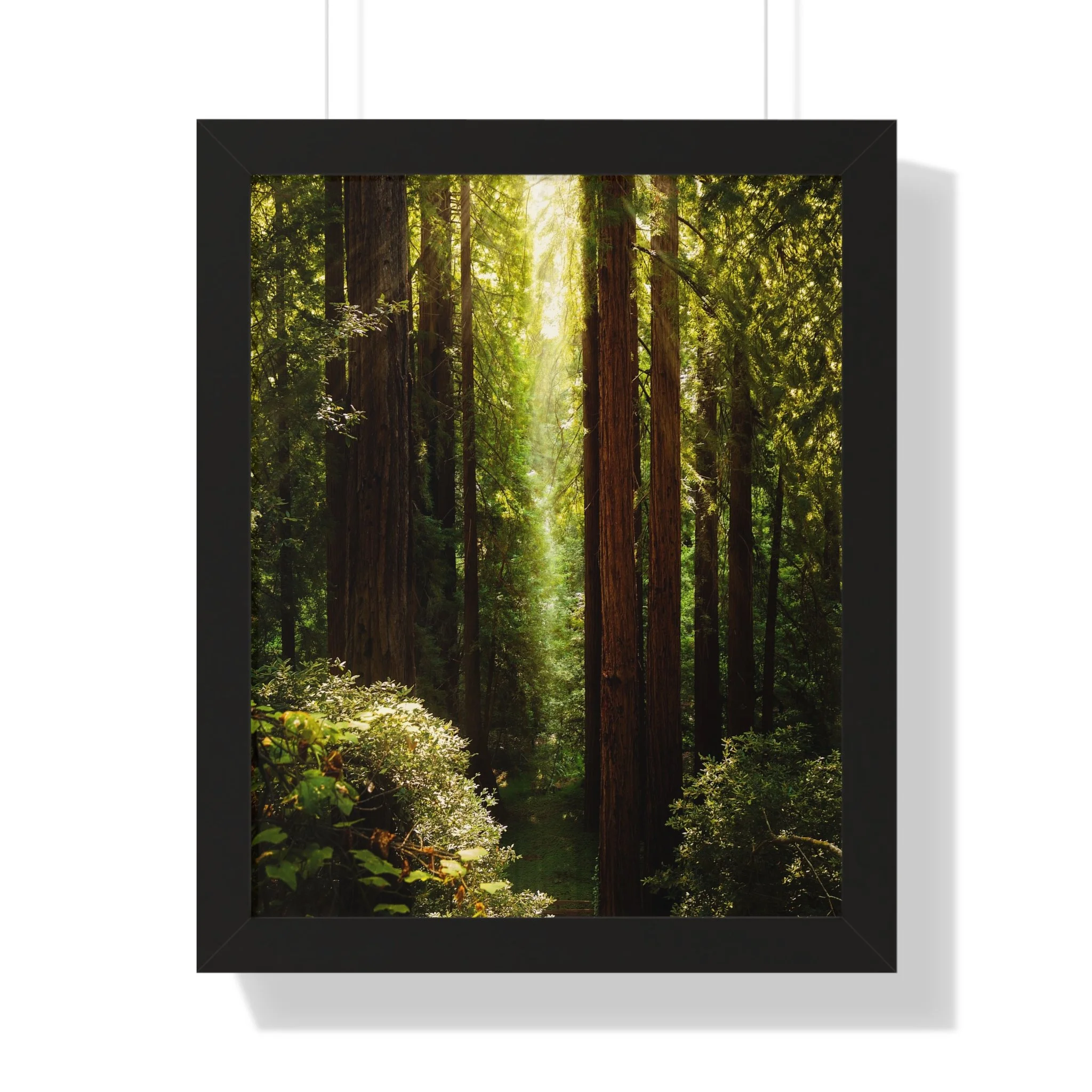 040b6ad0817db290374820f9ed14778b