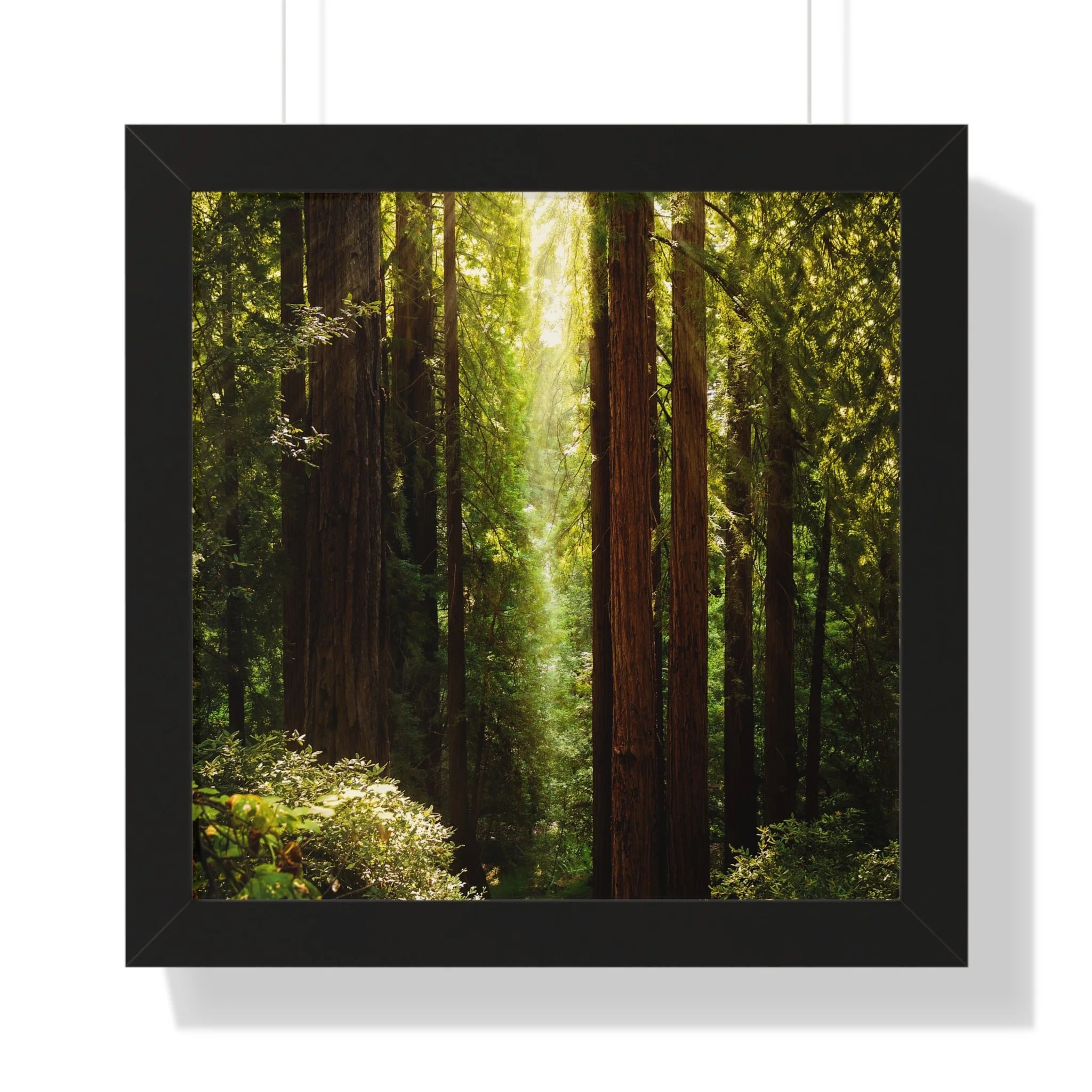 ac846881d27e4269cdb40d7af0aa3789