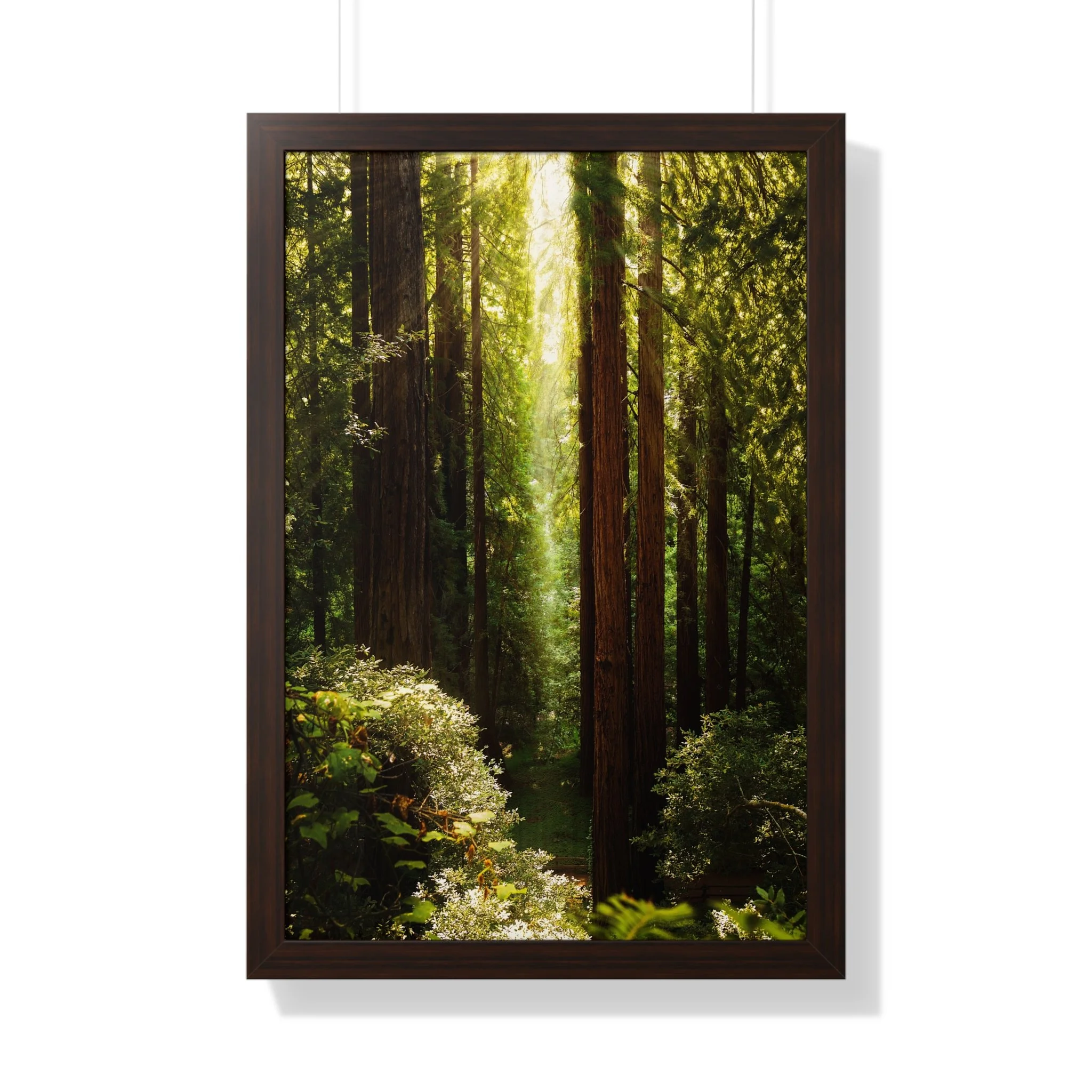 b645945c482d1acaca34a1c74488029b