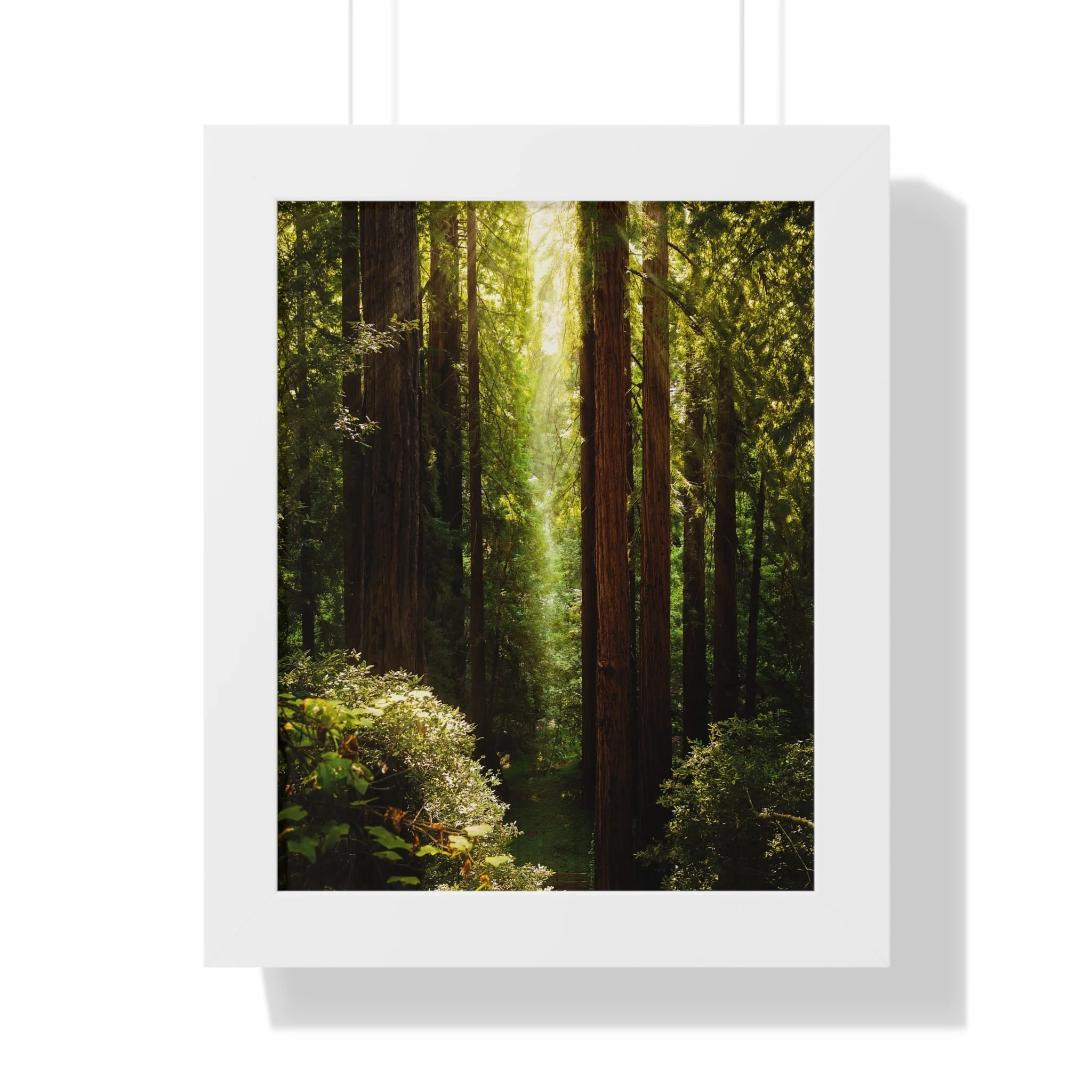 414360de217c30b05dd820fb68818f09