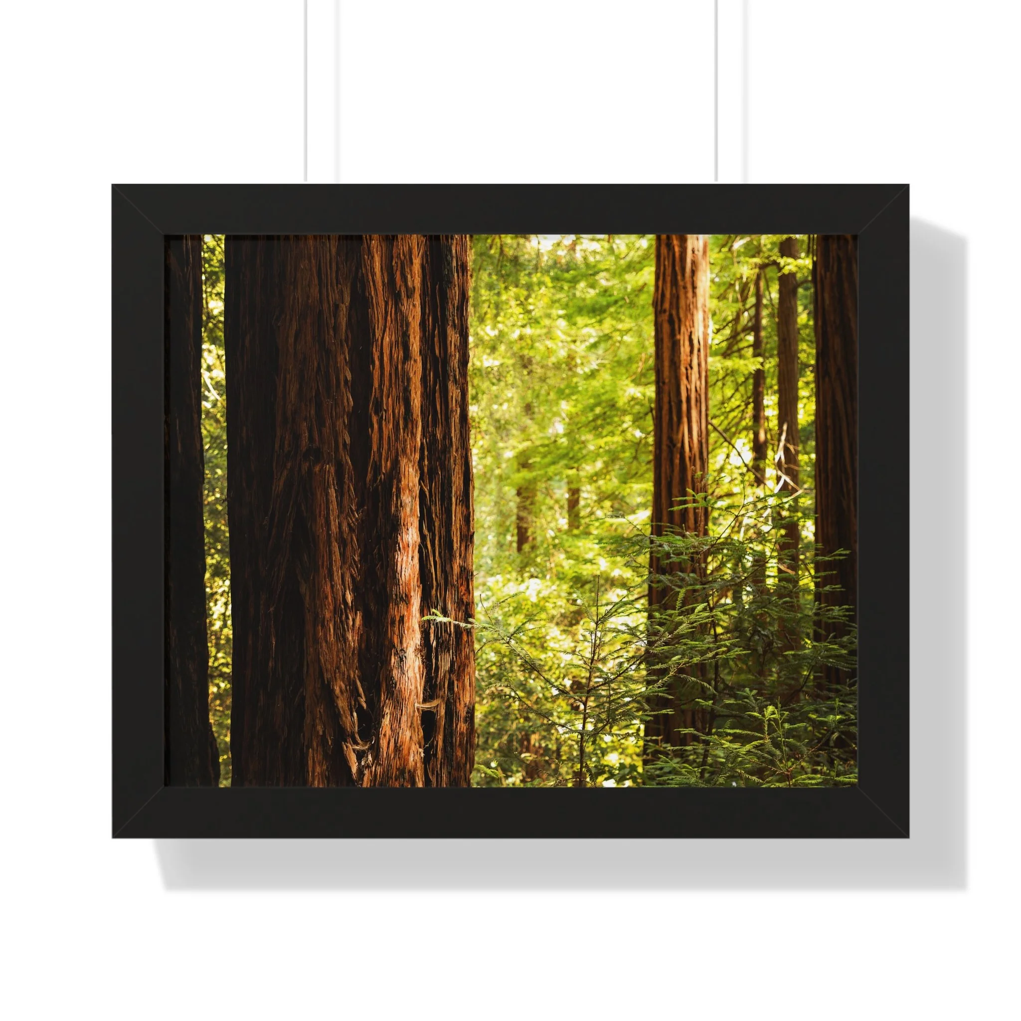 49ba6a5ad2cd466e383ea94615080f76