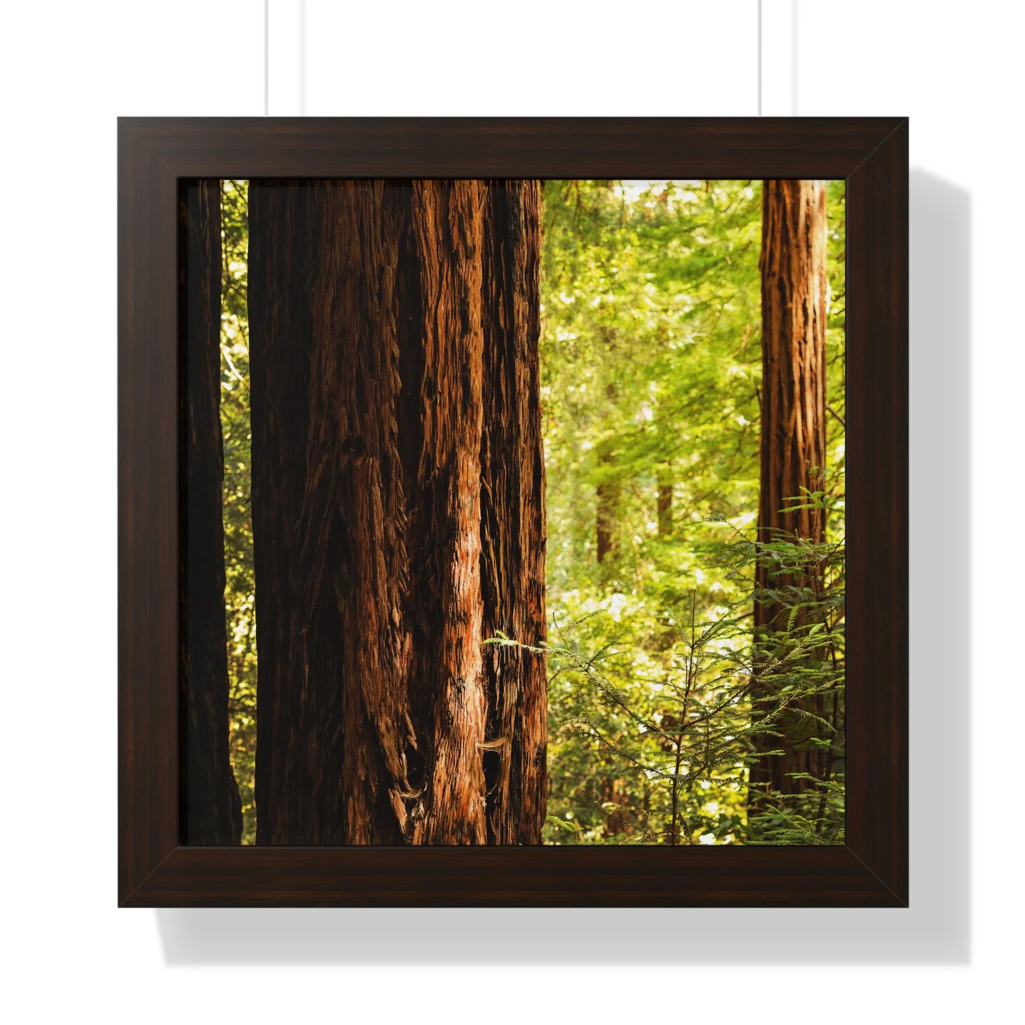 6fd45259a90303ffc998f1c8111f446f