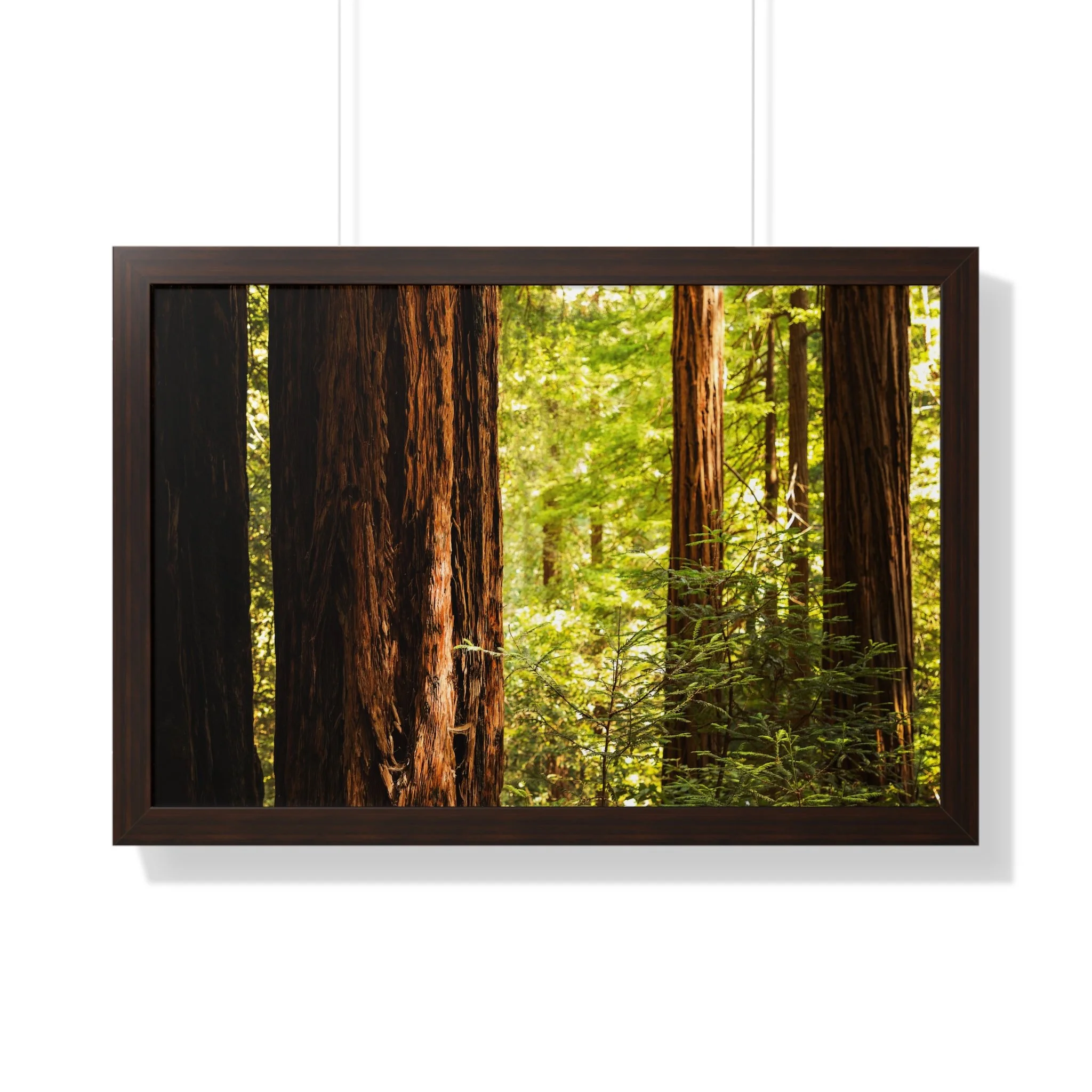 bfe86cee9f9ce4c82e9d9ecccfb76578