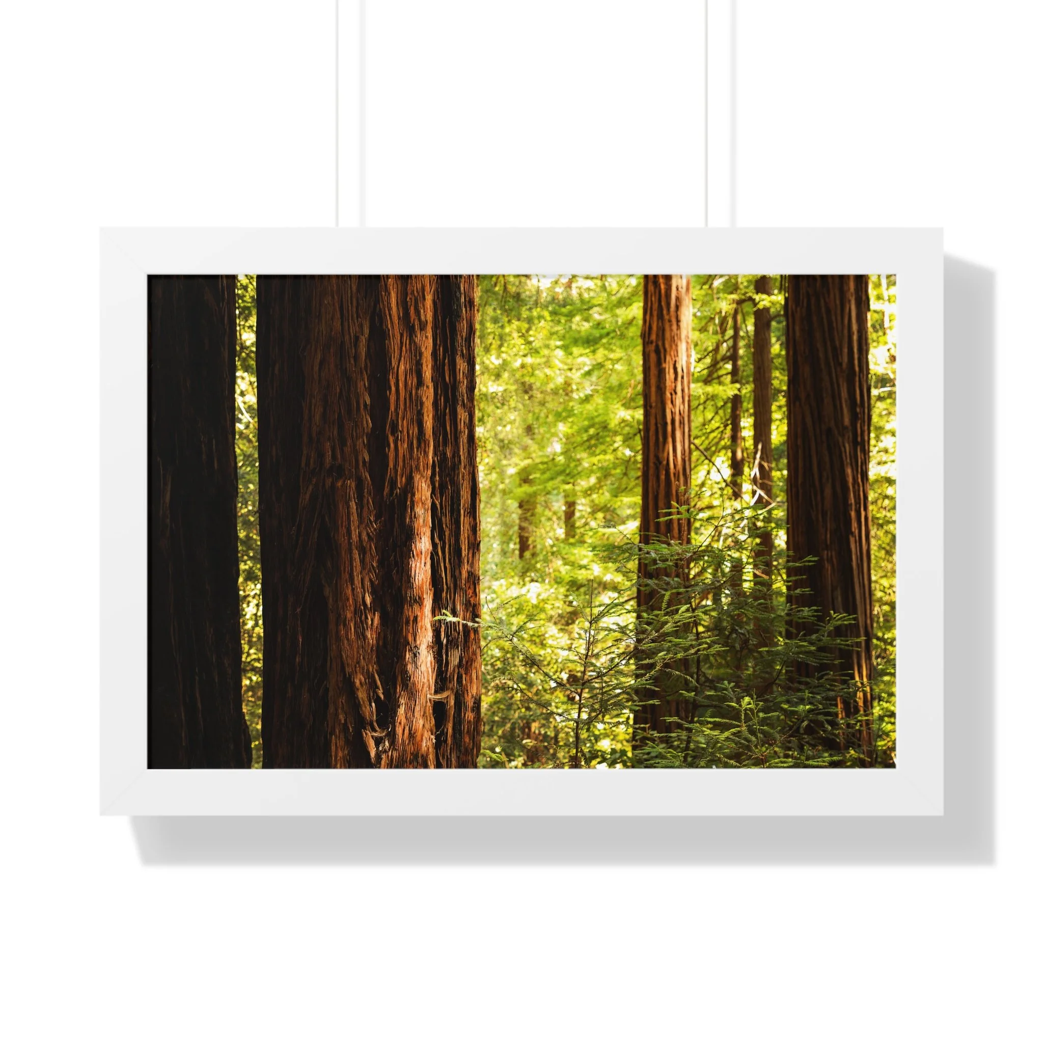 0be006a1db3e2b4142ebda5bf4a49526