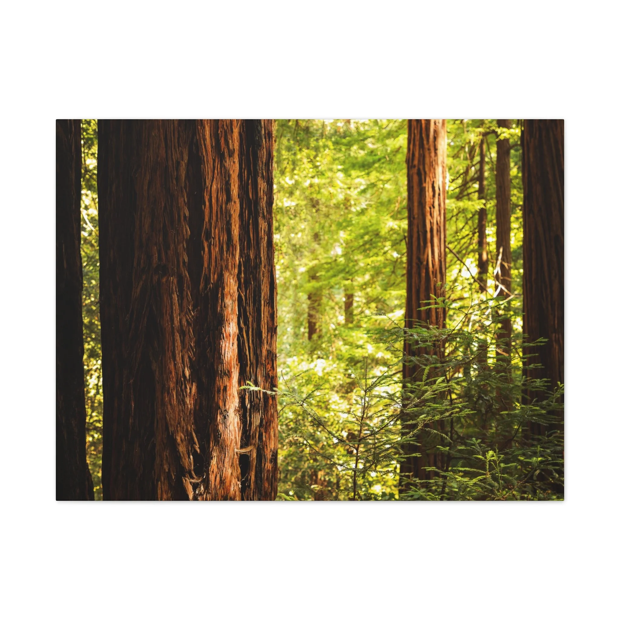 b8b714c72ddc6c5c0dd834df1c3869b6