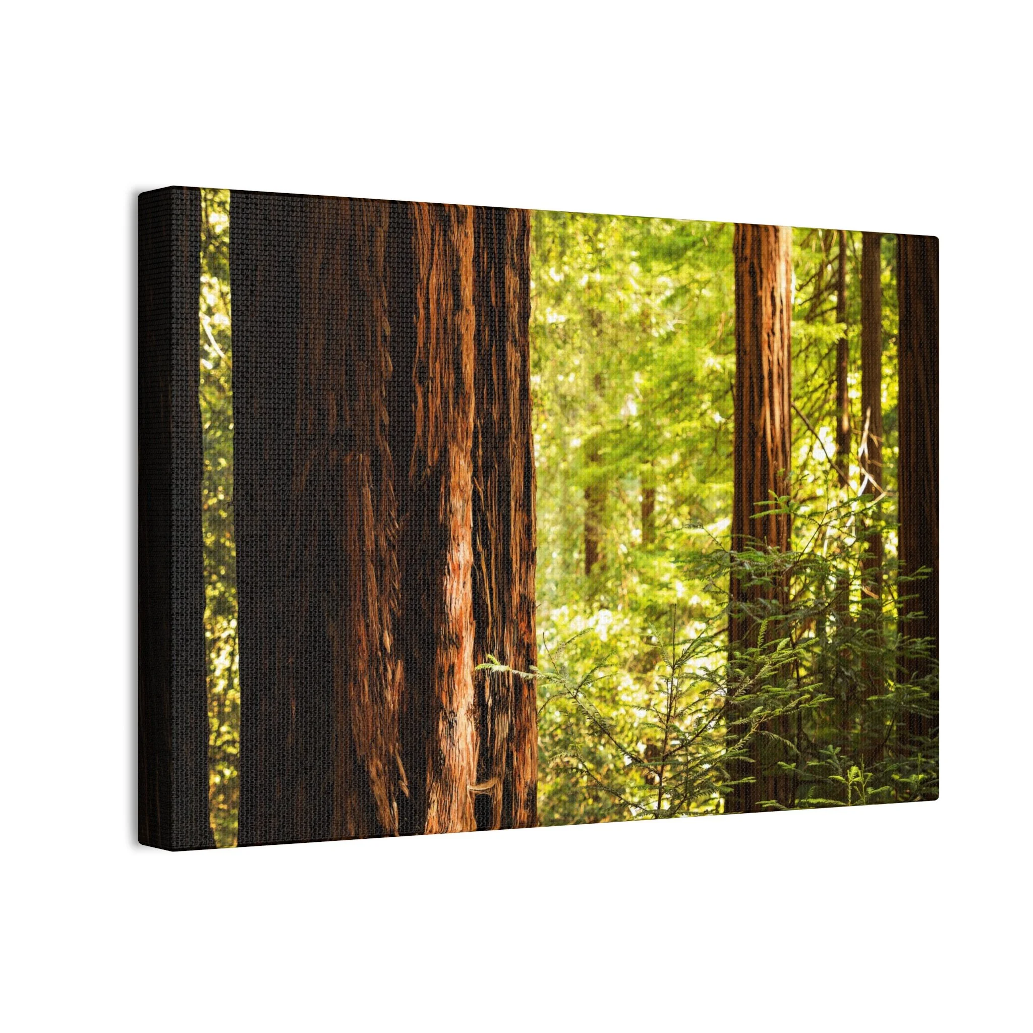 373cdcf1cf1dd4c01b6d5b1d9ffcfd65