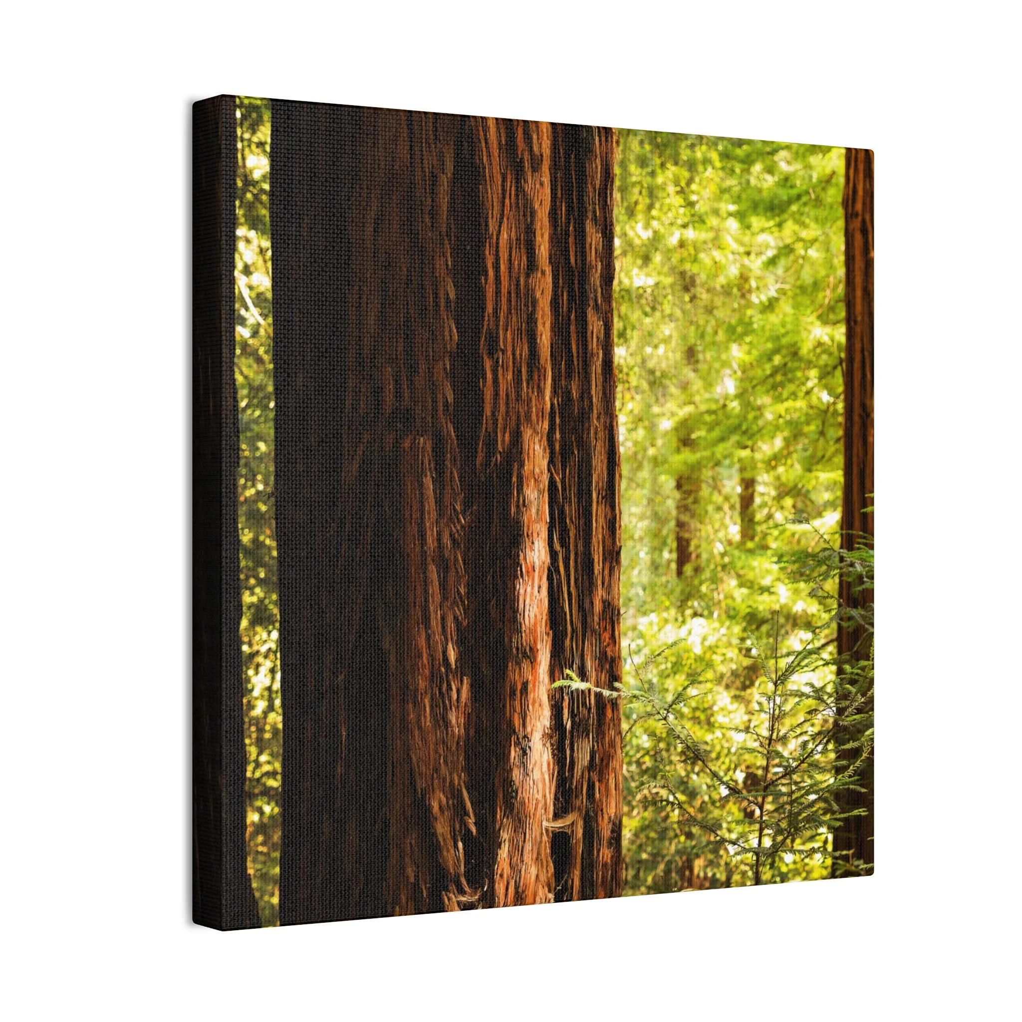 3d1a61a92c905fcd22b67edb7c6b29b2