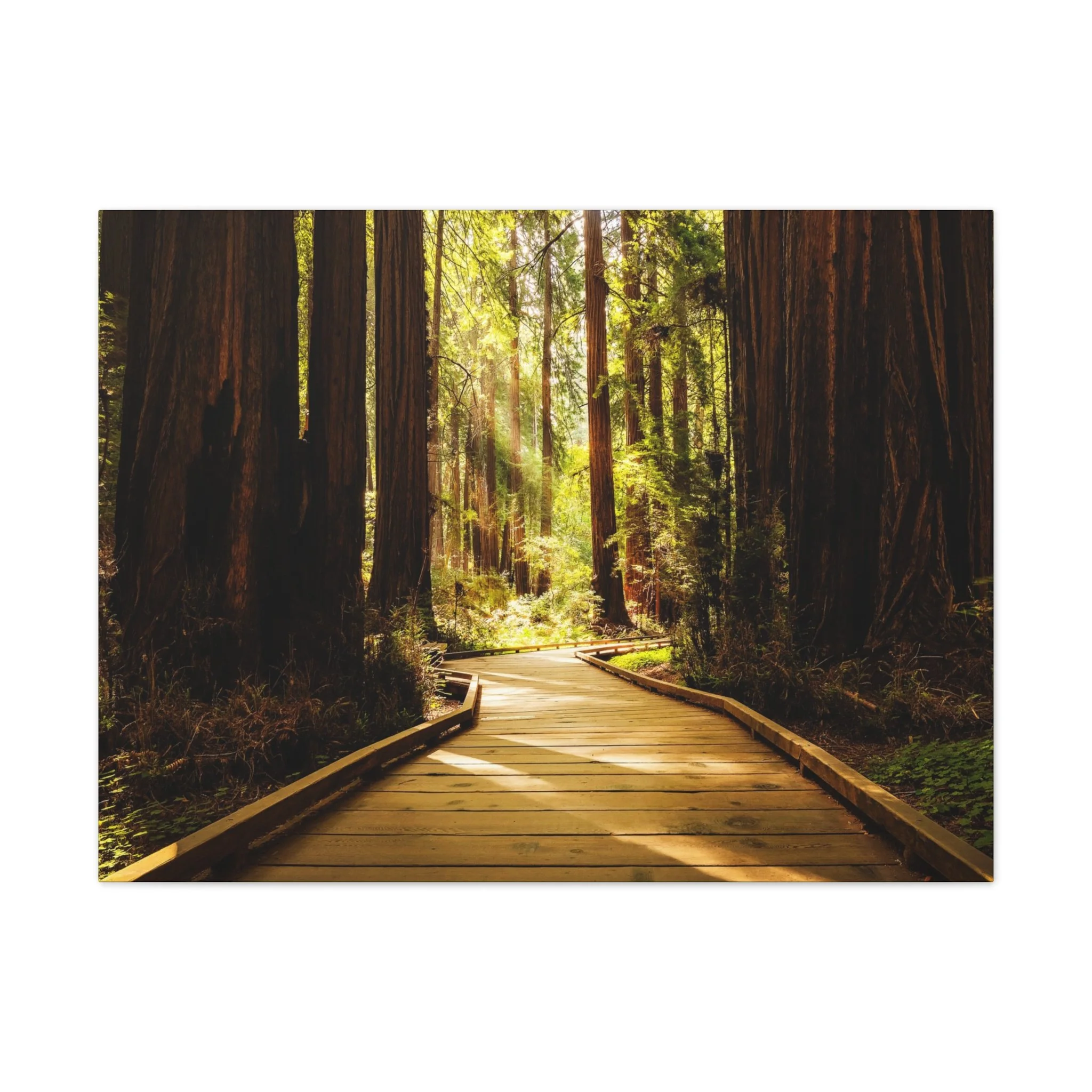 d78687480aa795bbed6950f24c740250