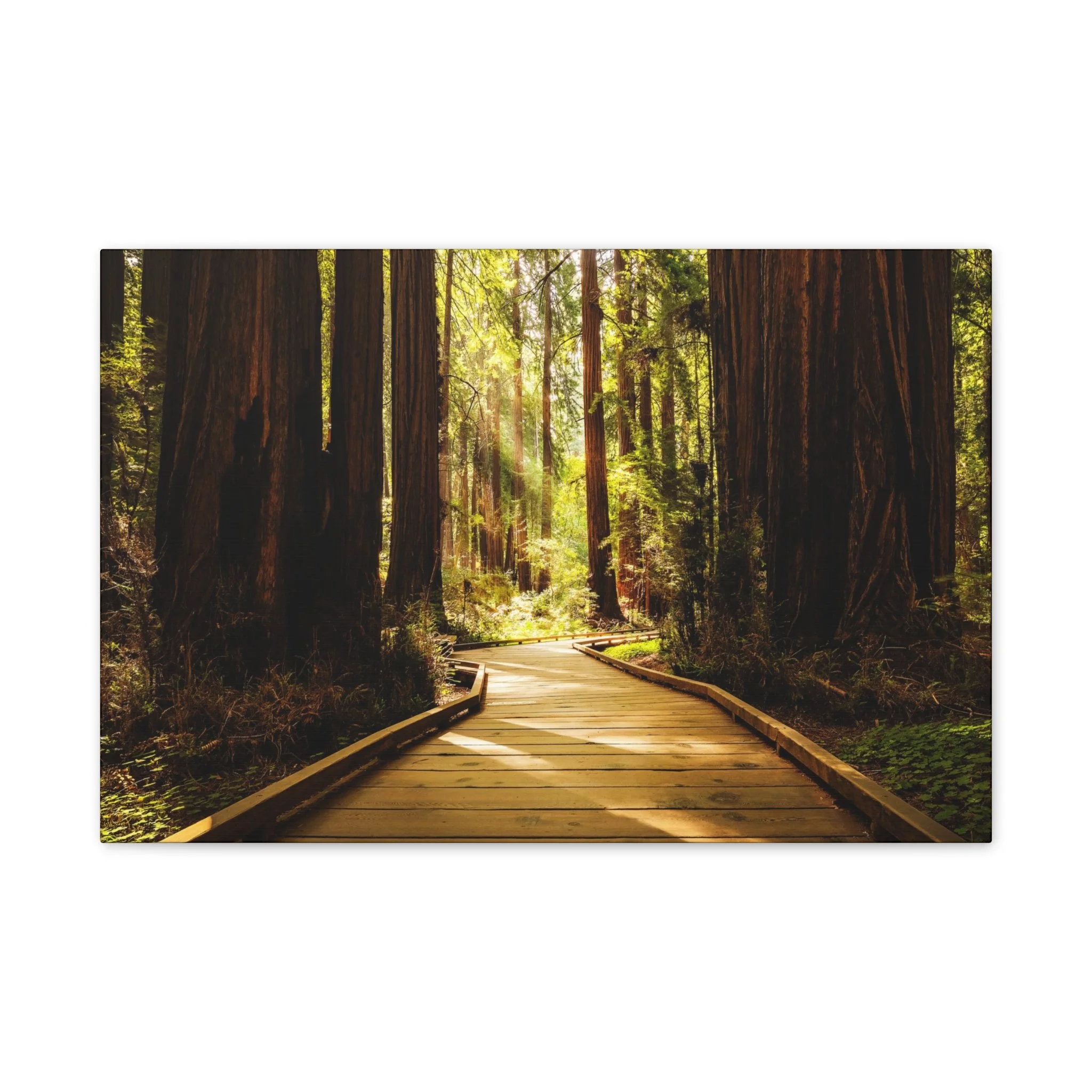 2b6c2df8c1d1de889596eb11b08fb716