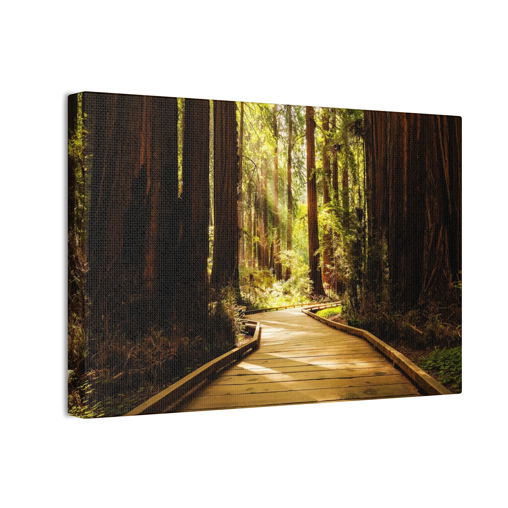 f203f71a0a7ed5d75adb60eb01ca467b