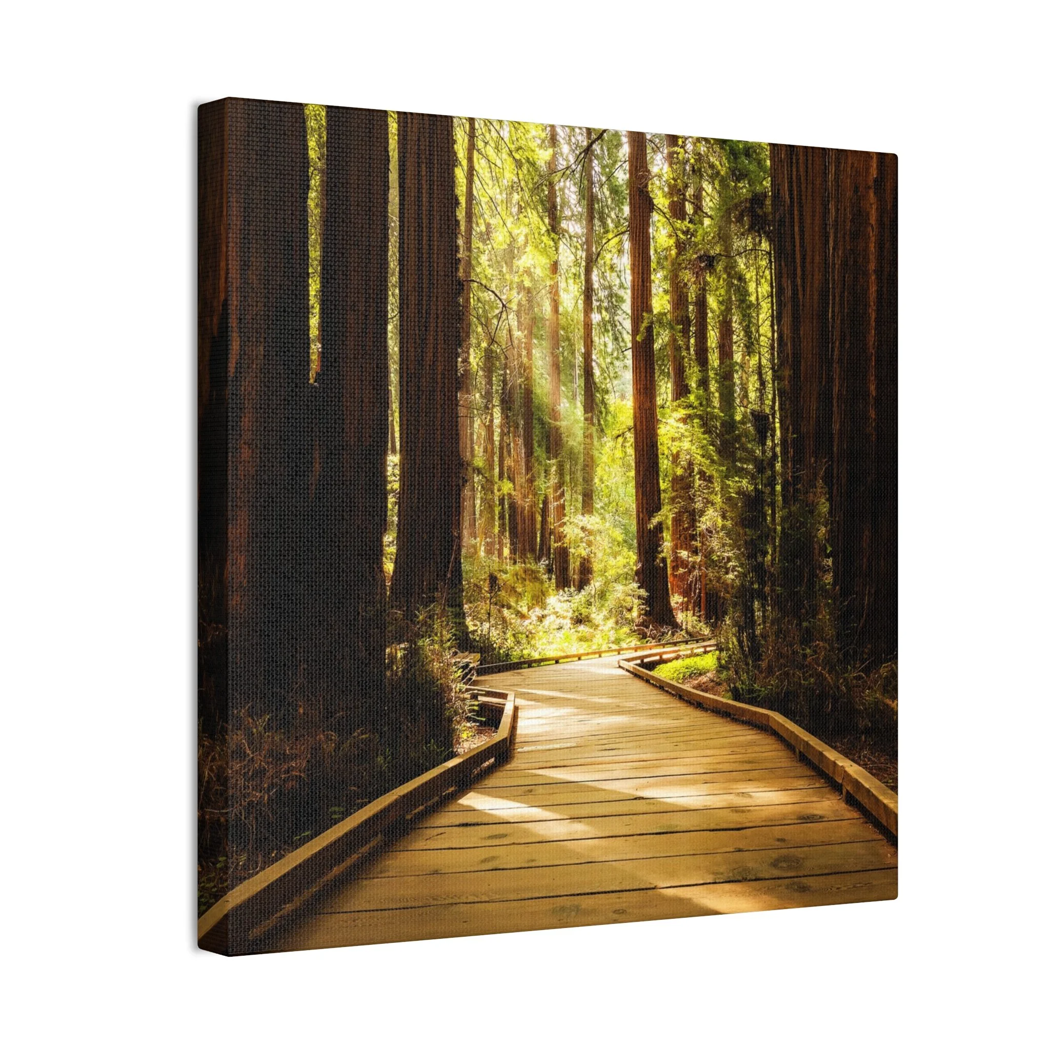 bee7207a3bcd9b7a2463313057692d9b