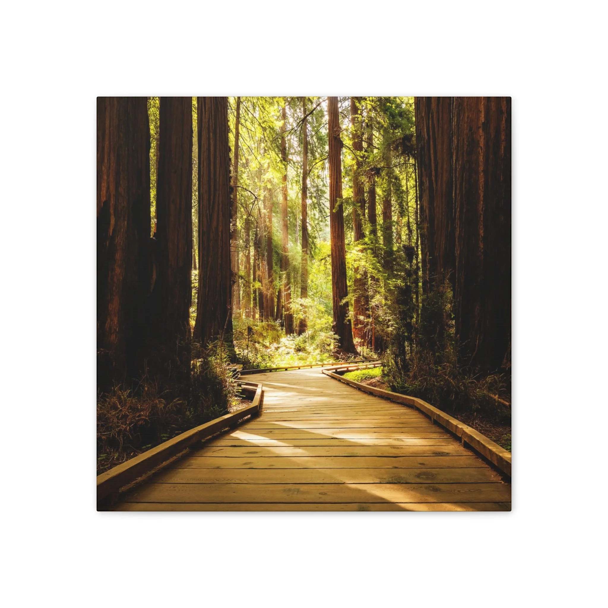 0d58da217bd09121cf4fca52d7091f8a