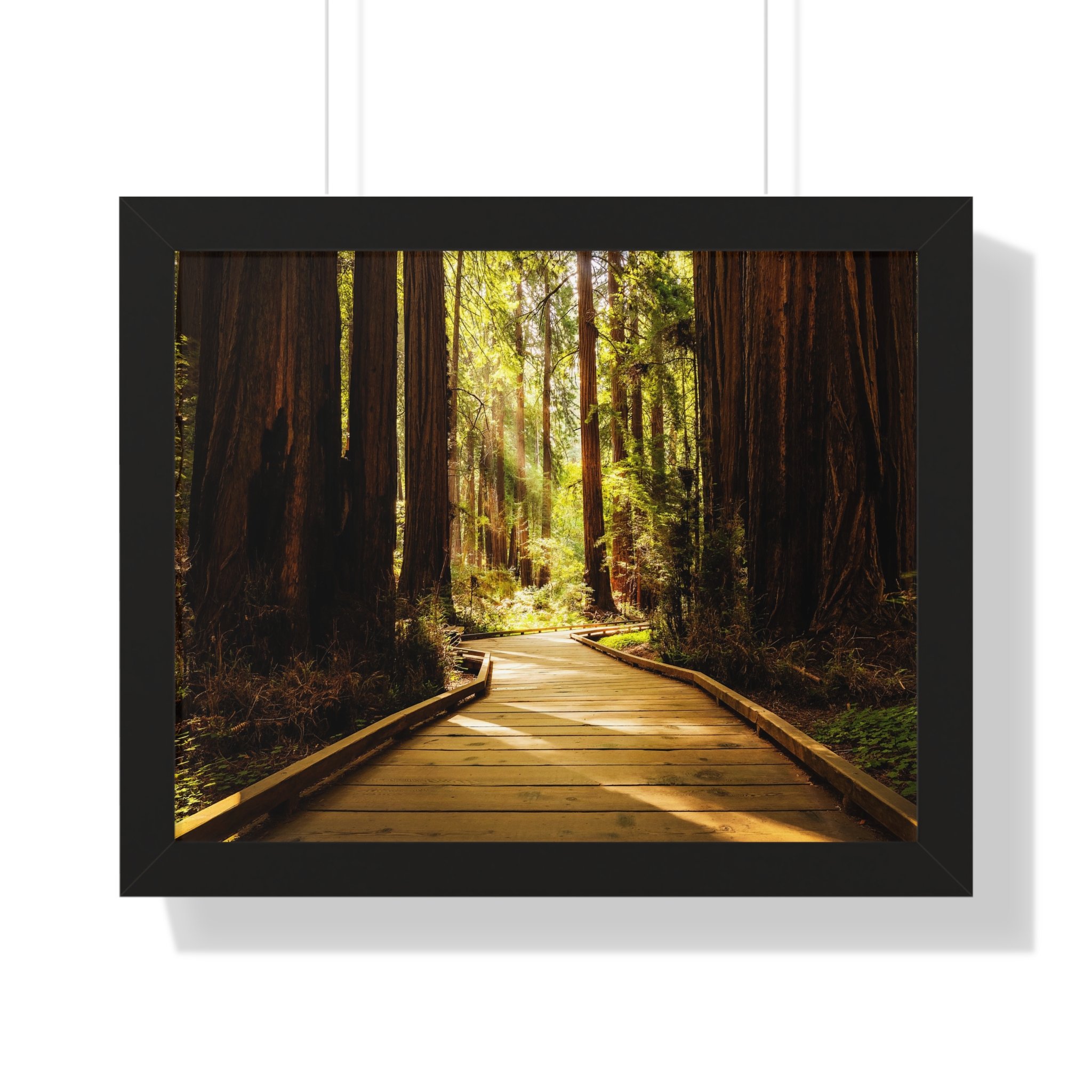 29d8519b30da2222e4580441004def8d