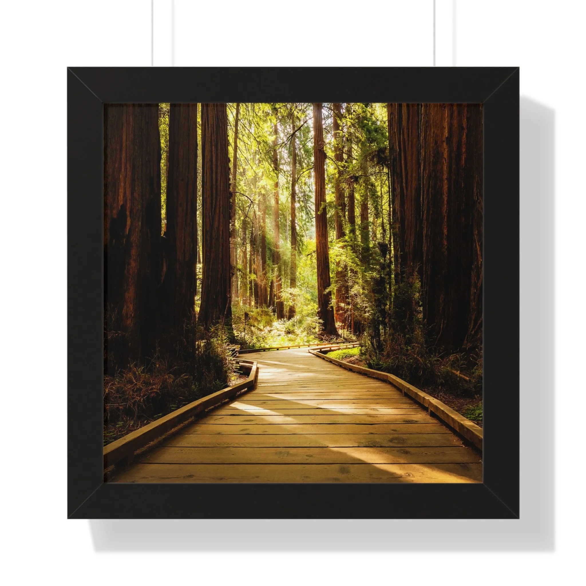 58618642318e68d47d25d9dc633dd2f4