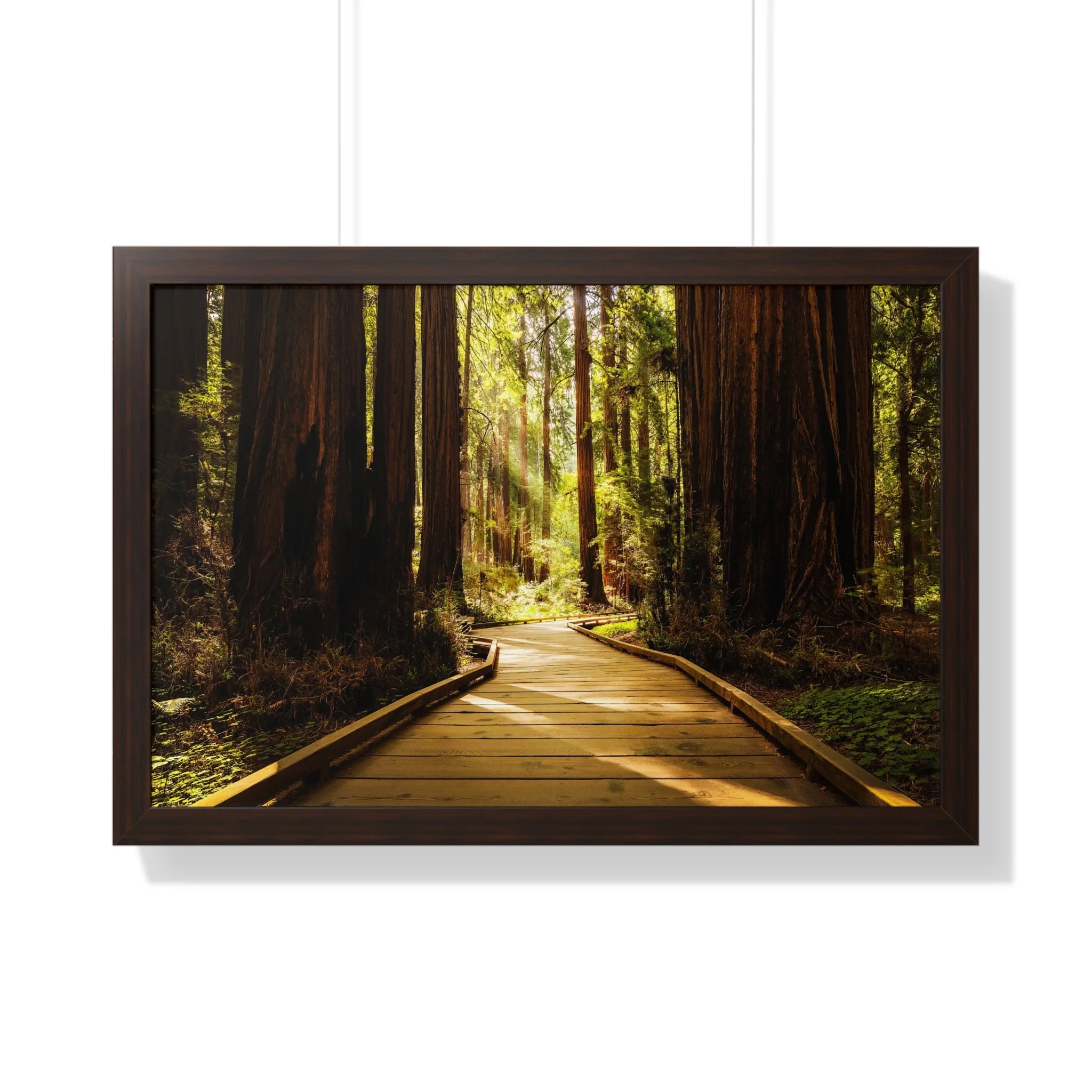 c1a5098bc6a35bf11534349d6e6eea13