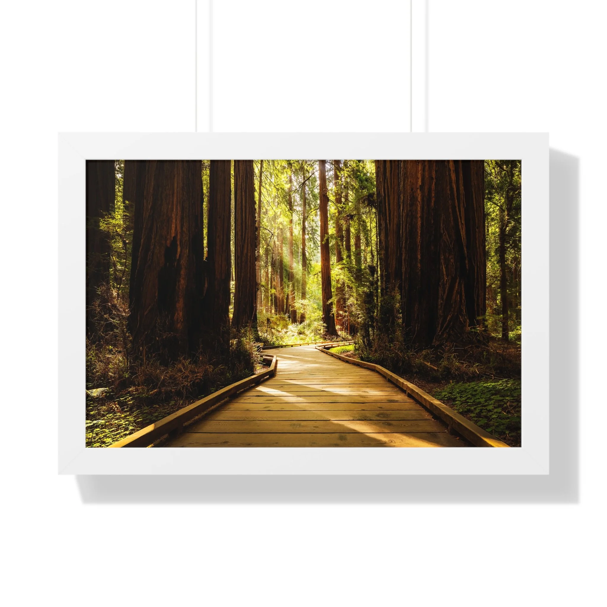 720fada5eb294b60c79b9a645a2a4c3c