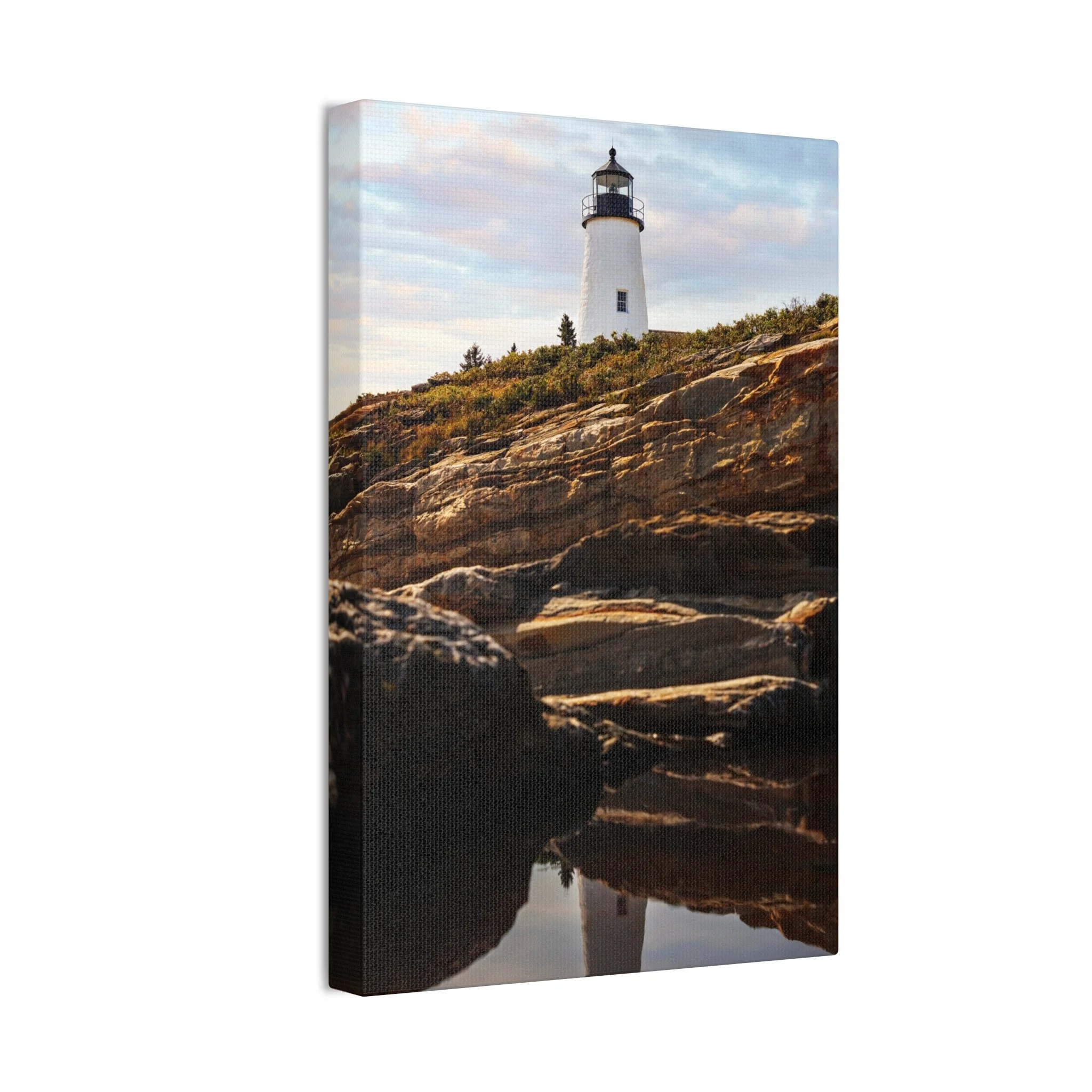 8e79f9ebd6325b81a6f236834d346805