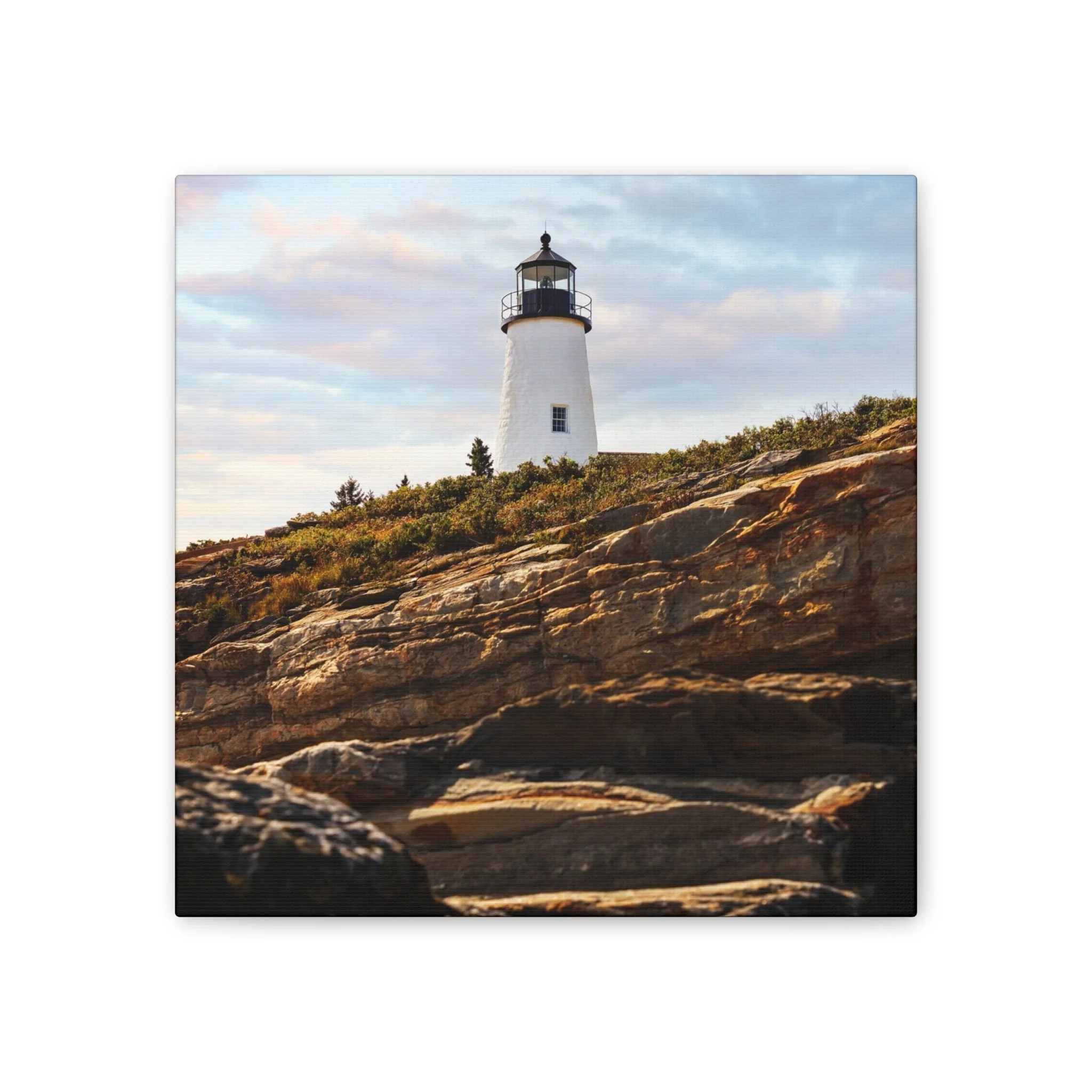 dd46d6b75e38ce34368e01657436d7cc