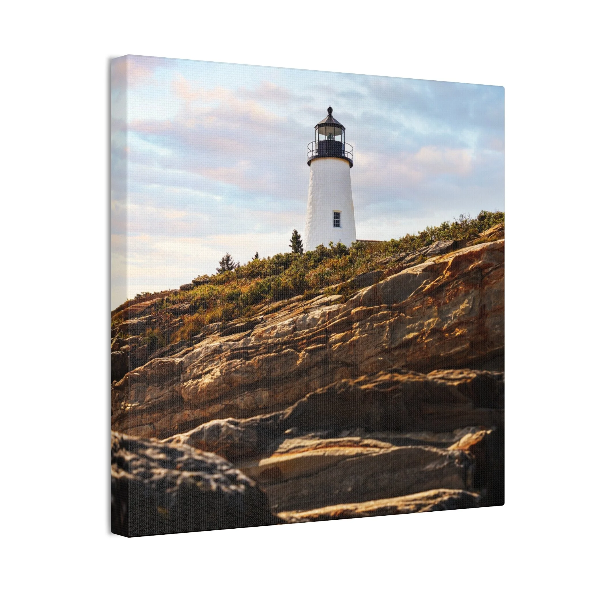 4dc5d574e1bd42e5f232533f6b498244