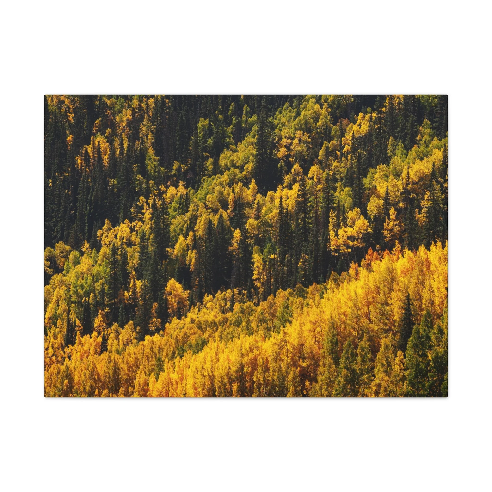 13370712b071f651efebac89c6e1bacd