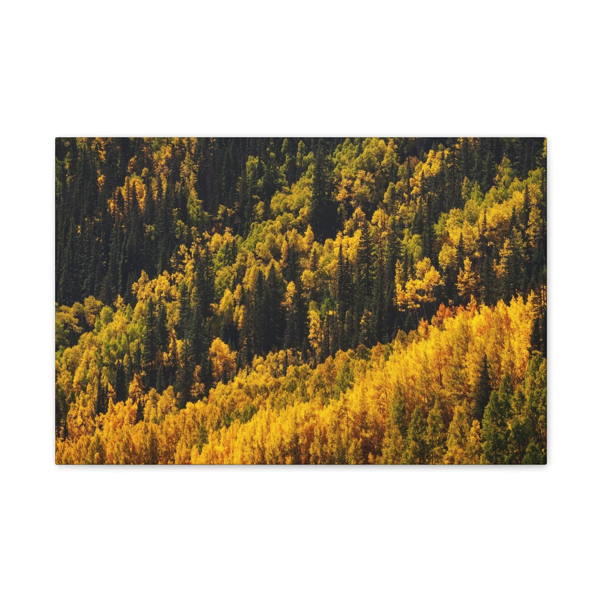 7dbe80e5d4fe3e3fe1dbddc38d834de7