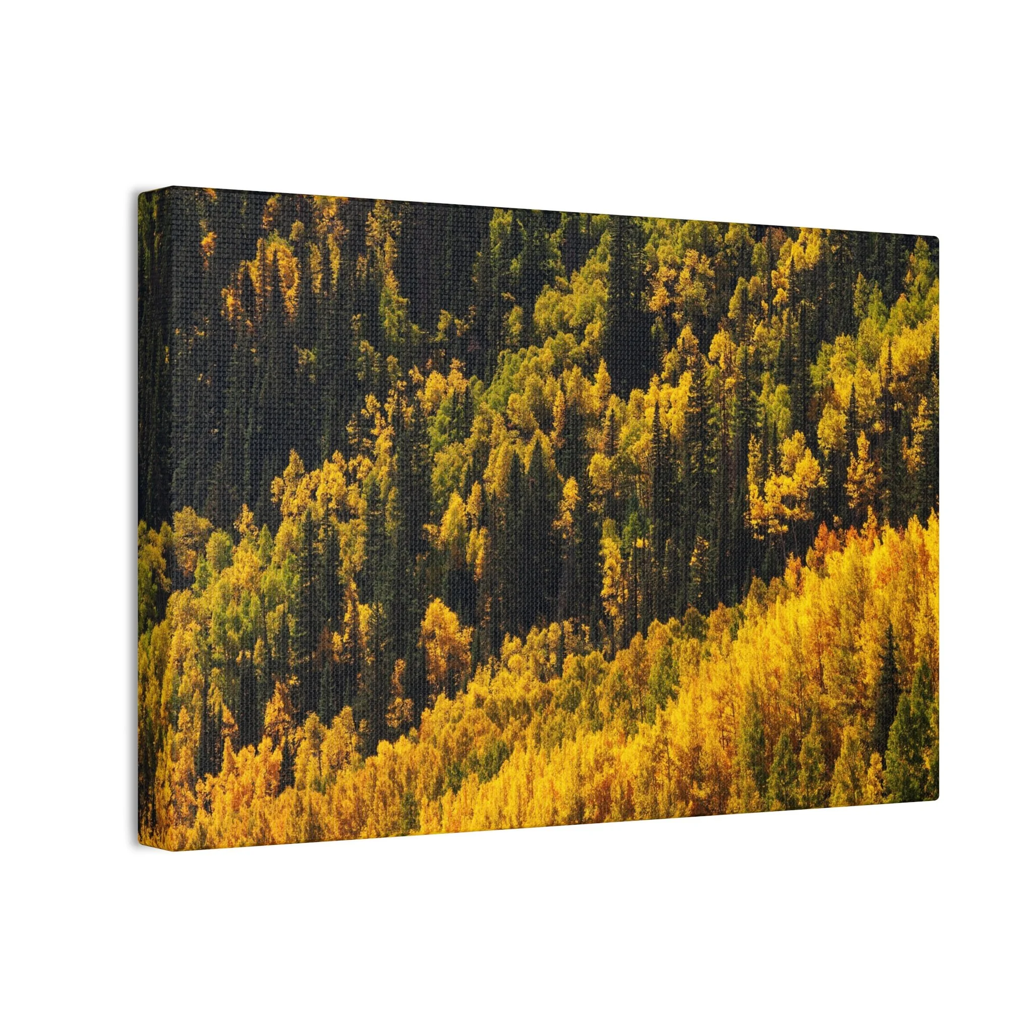 7651ae403587be553e3a204d3db828e1