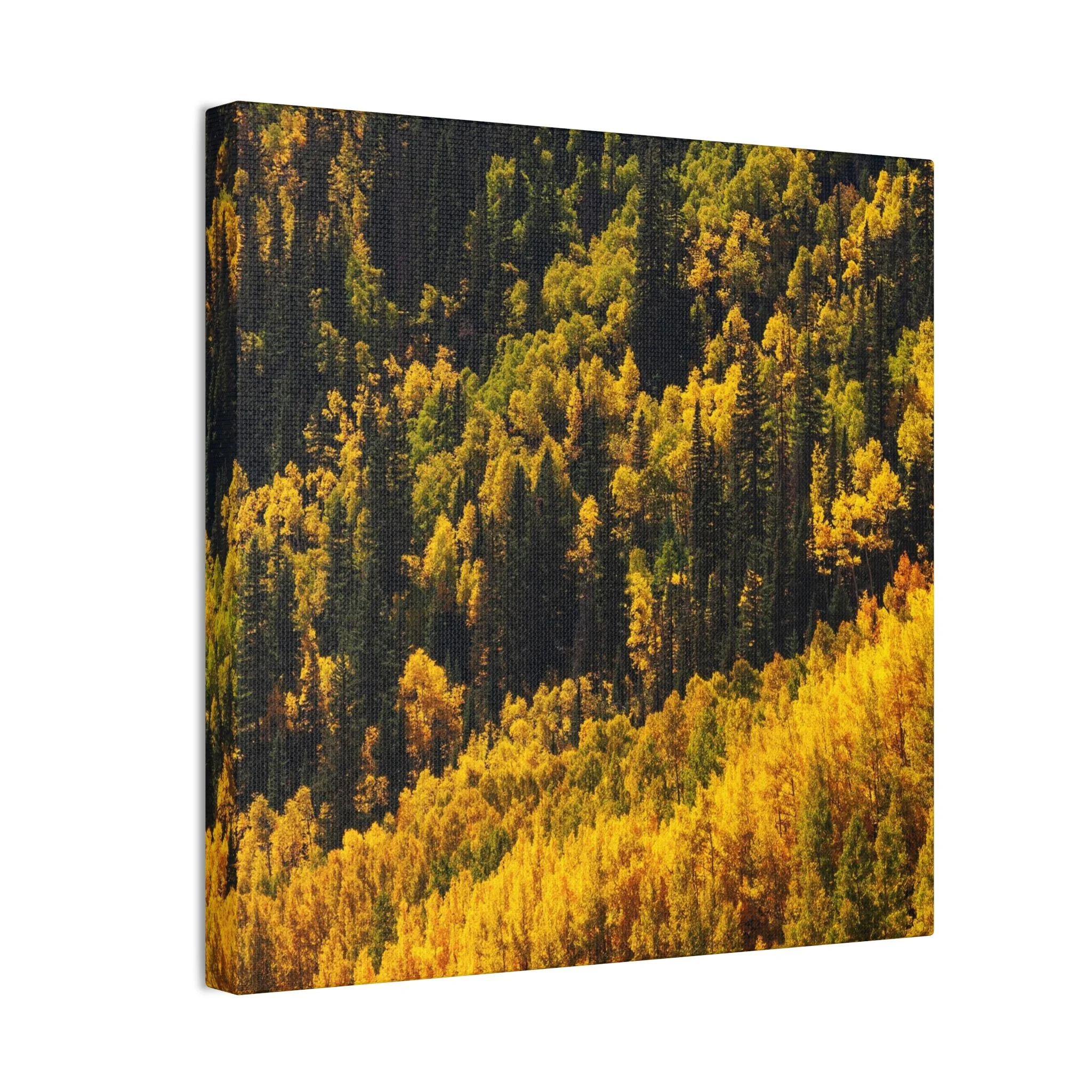 7d1f258143b87808907dae0c6333fb67