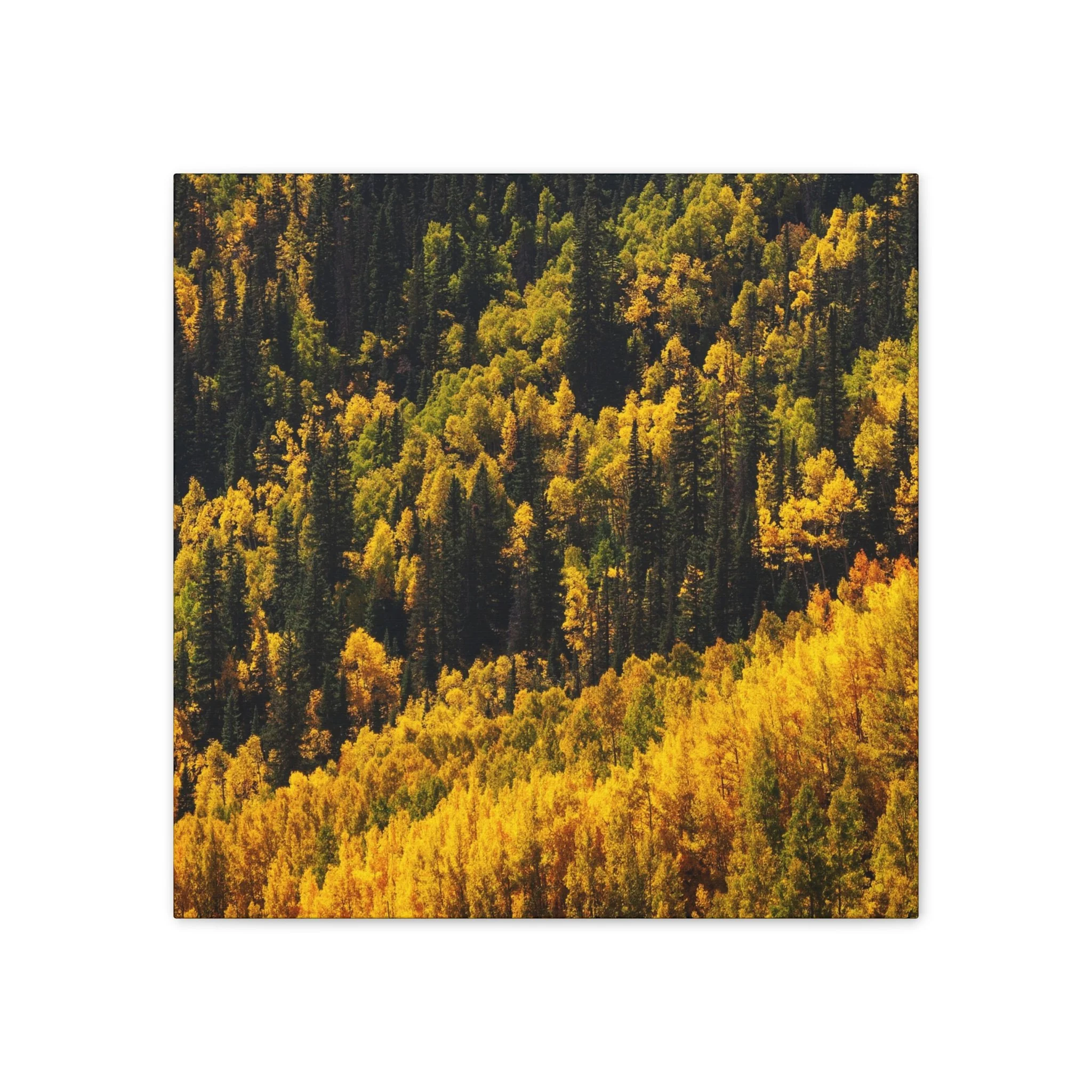 c9b5eb6dd238e32eb7904cafa2e1ea6f