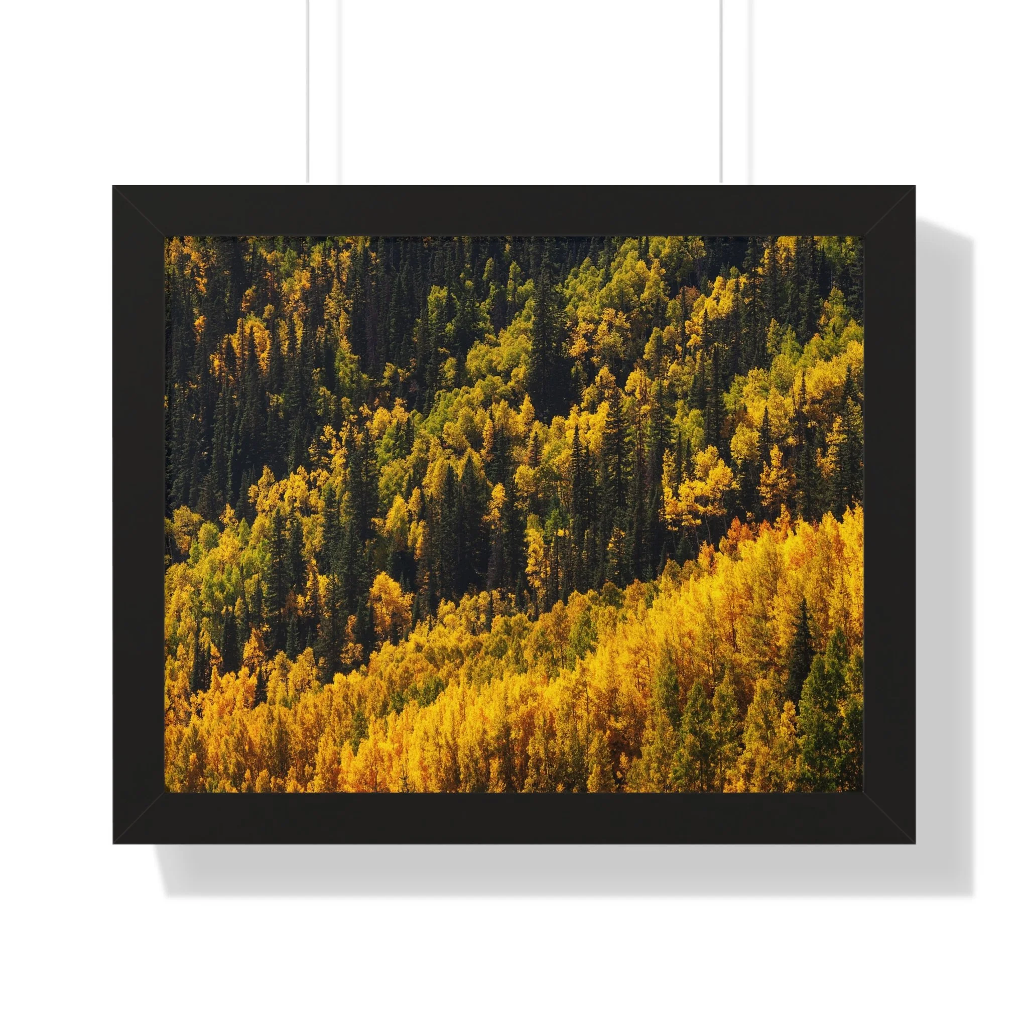 20e86cfdf873e2cd767f8f6981c3b6be