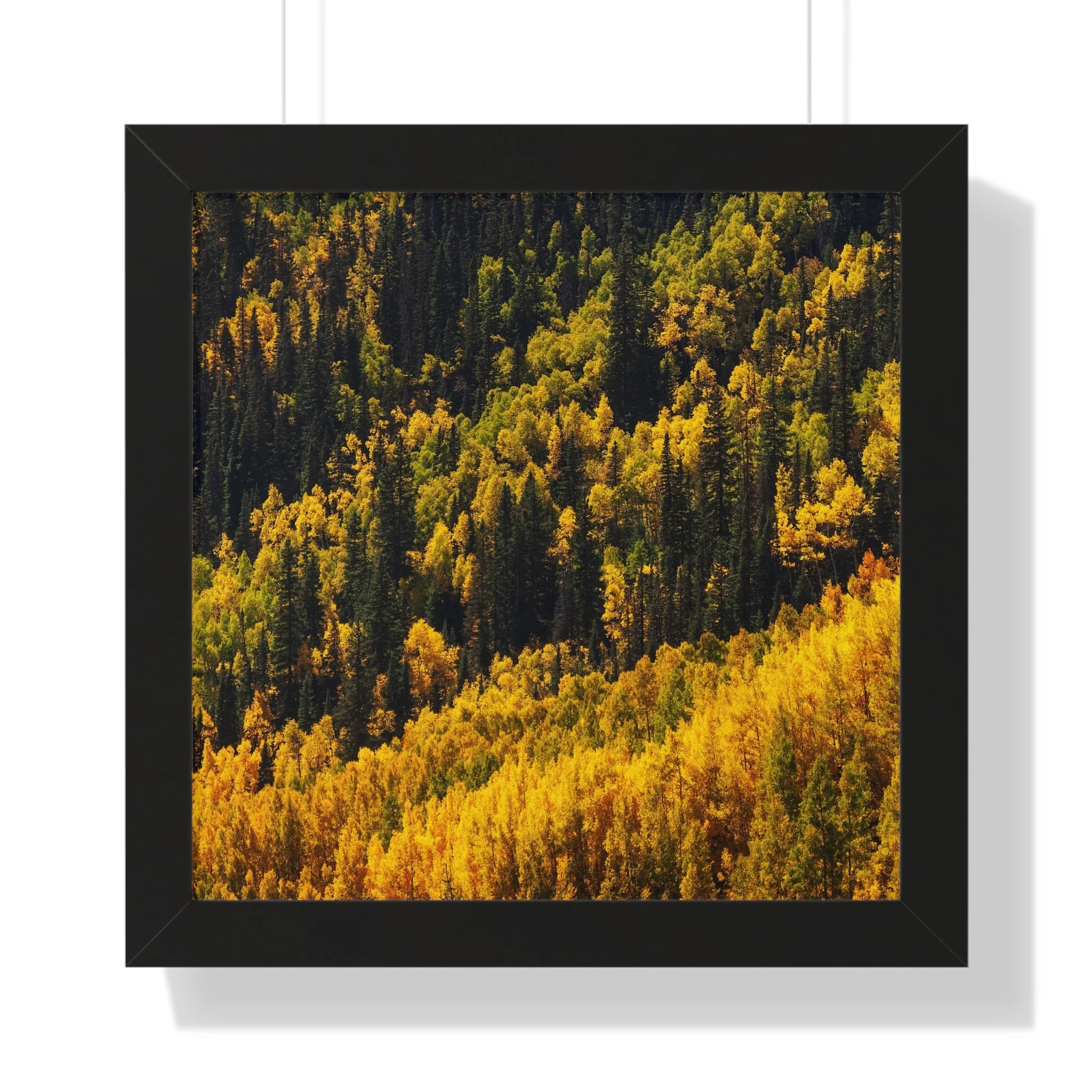 20f49536df1a2ece9708a356f7667357