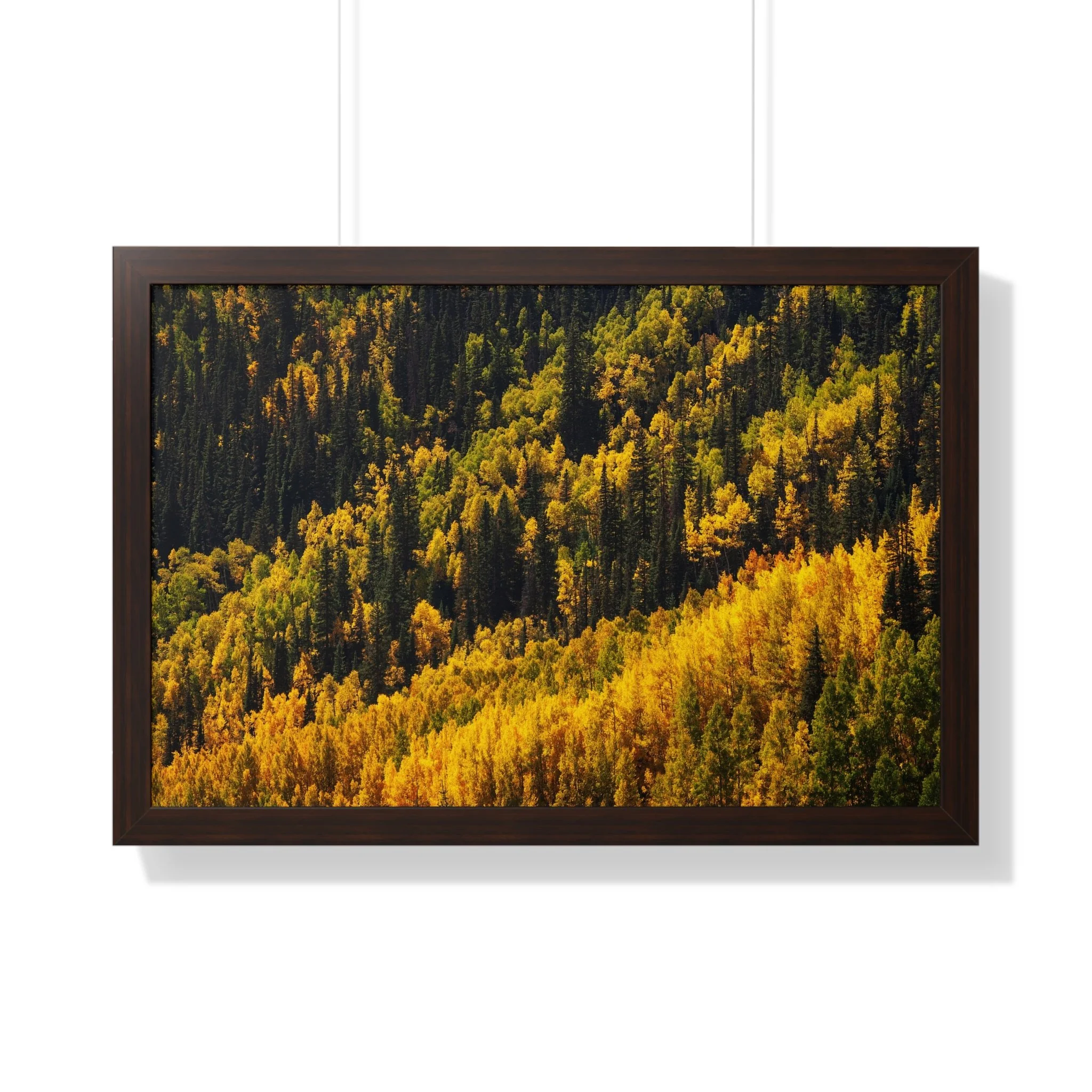 7725d3866c8b3c3c5a43b457389022cd