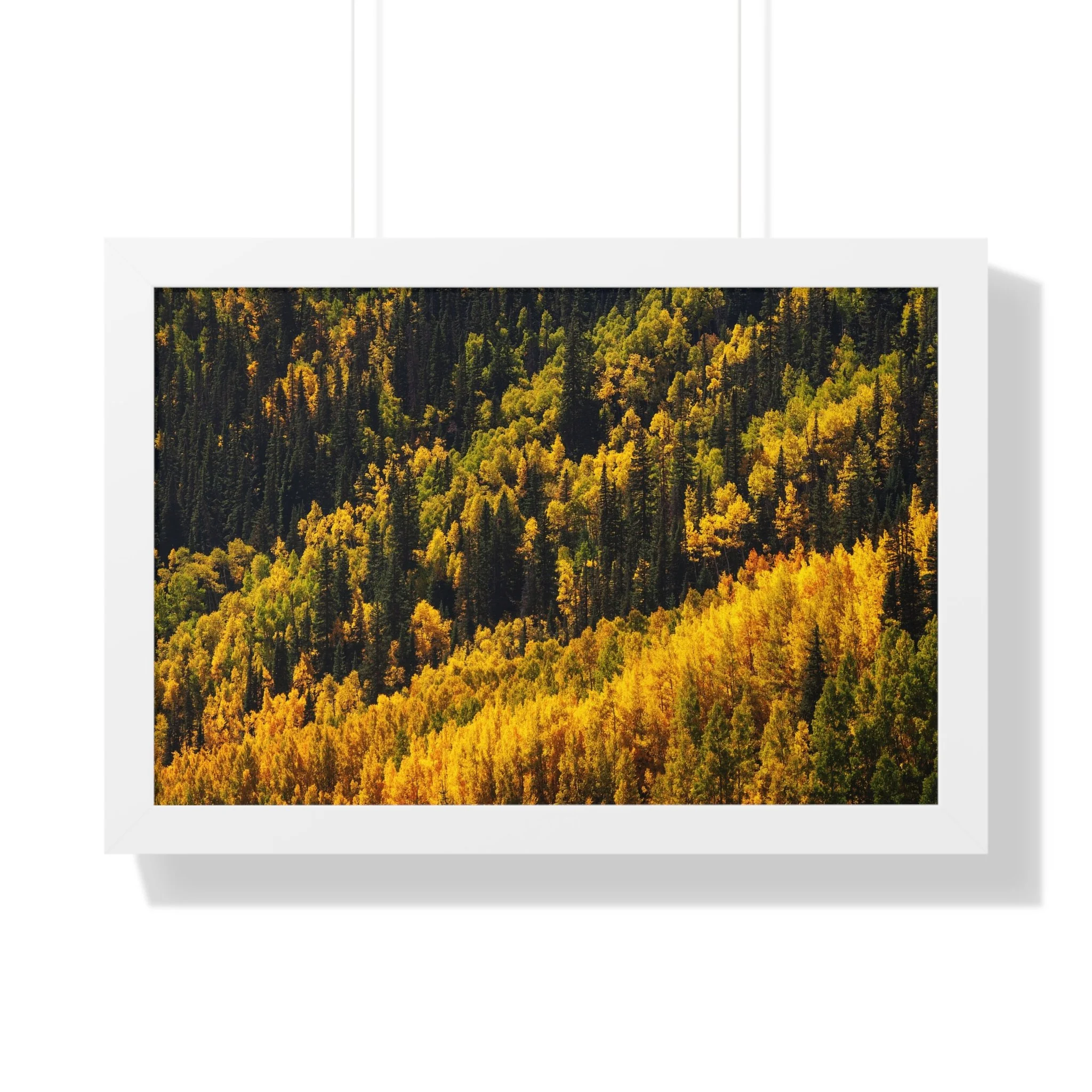 213bfc4716ca1e5a69fa27f6afd4d142