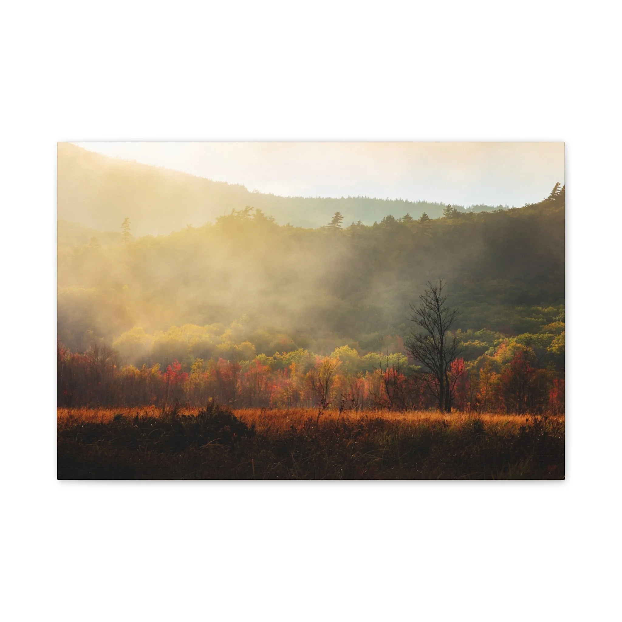 31f8393de817ec0d64c94701755c8648