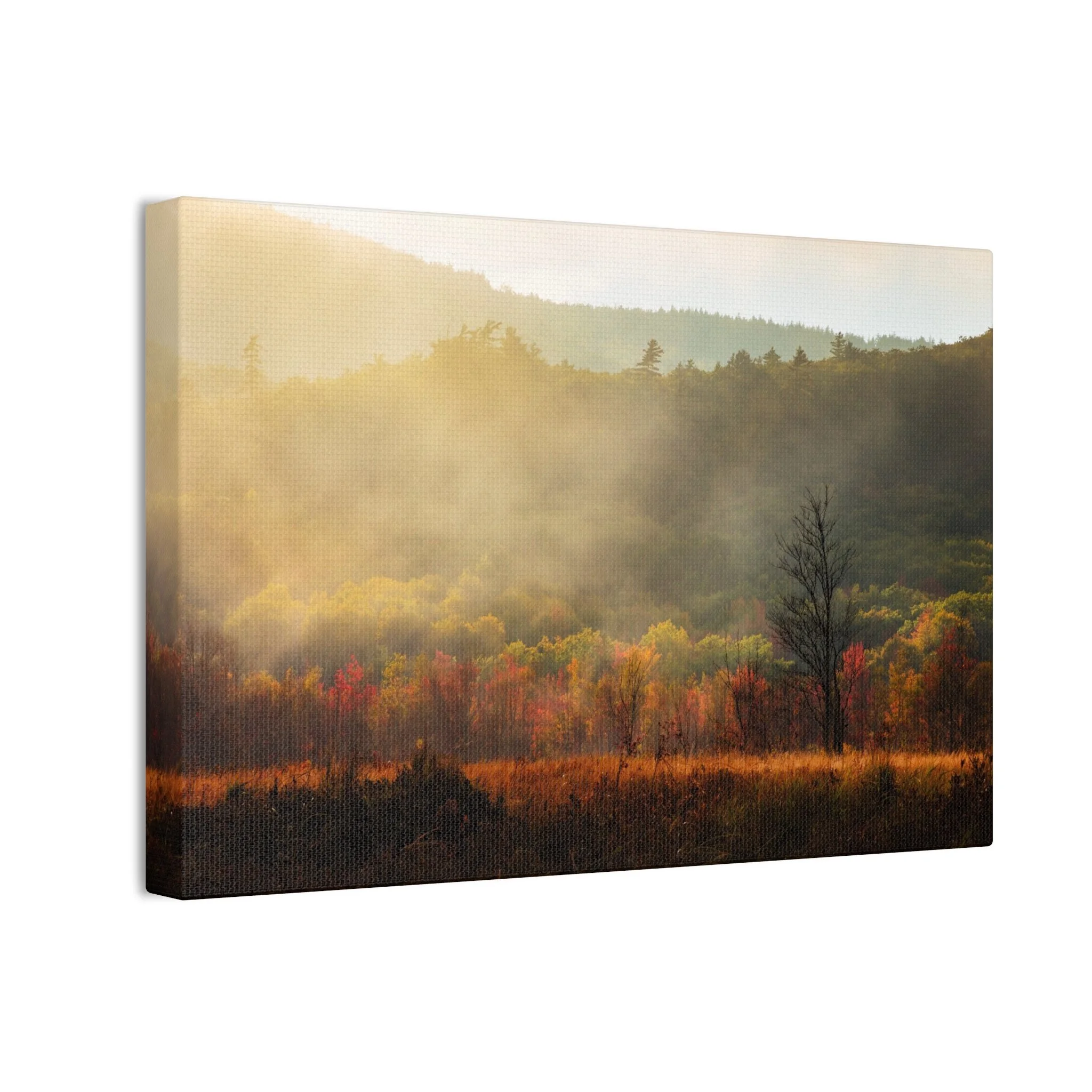 6523ed1ab7ac5a425e7845c7355ad699