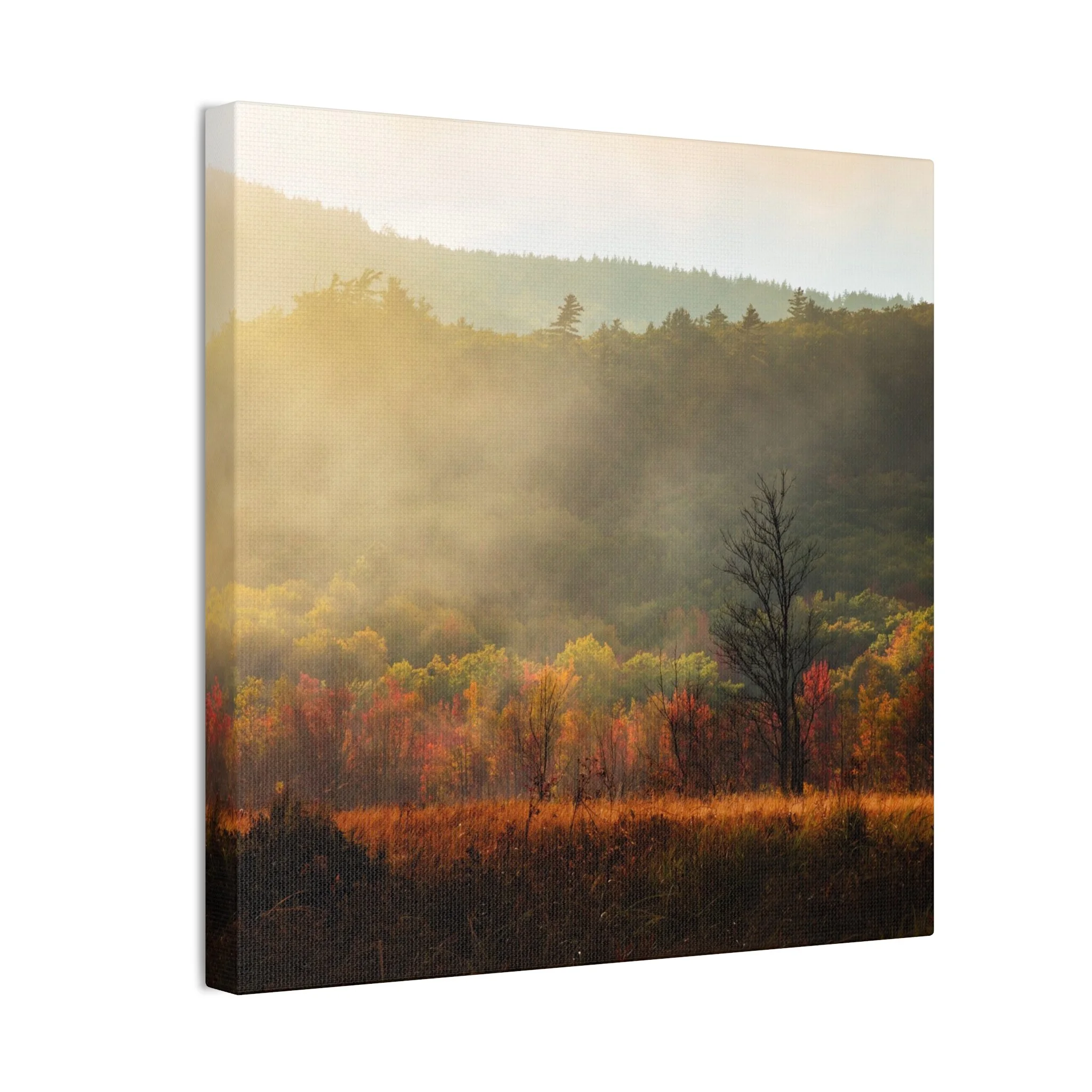 2f351956cf6f86c4faefdae2fa590e34