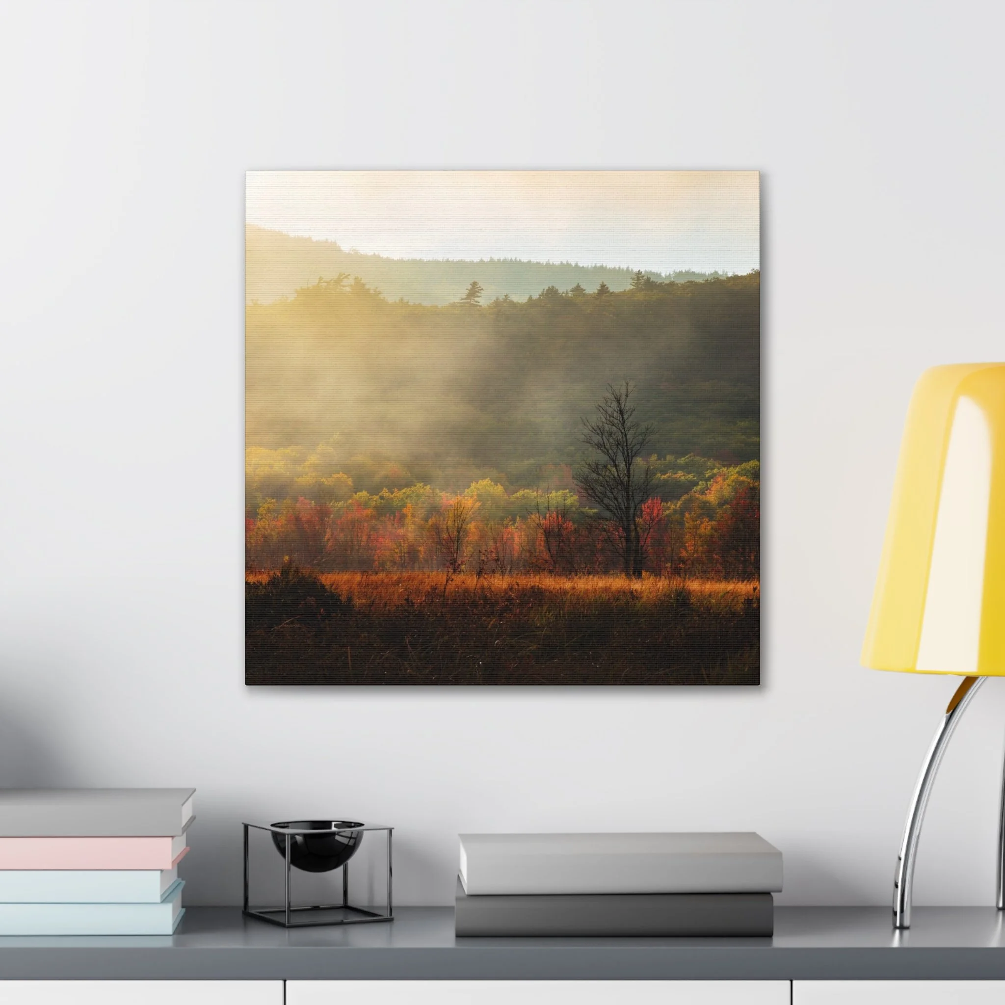 dc9a87b1352e4416c54796962c2a6244