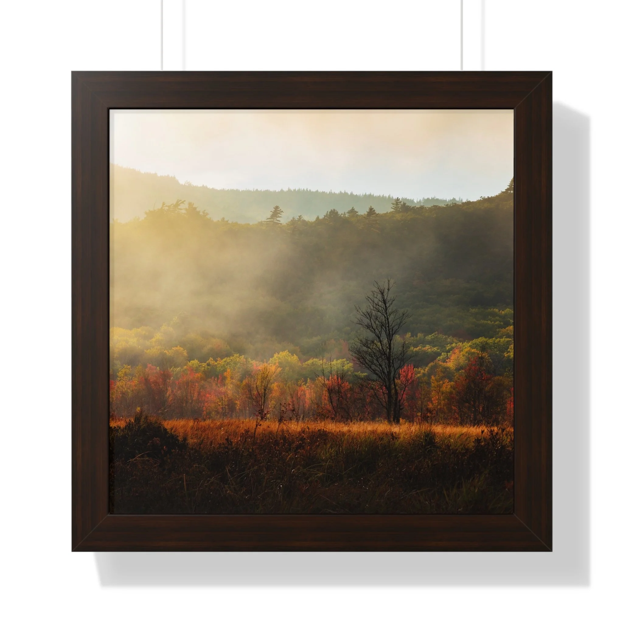 71ed001dd2cd4430fd4fb4a12dfa4485