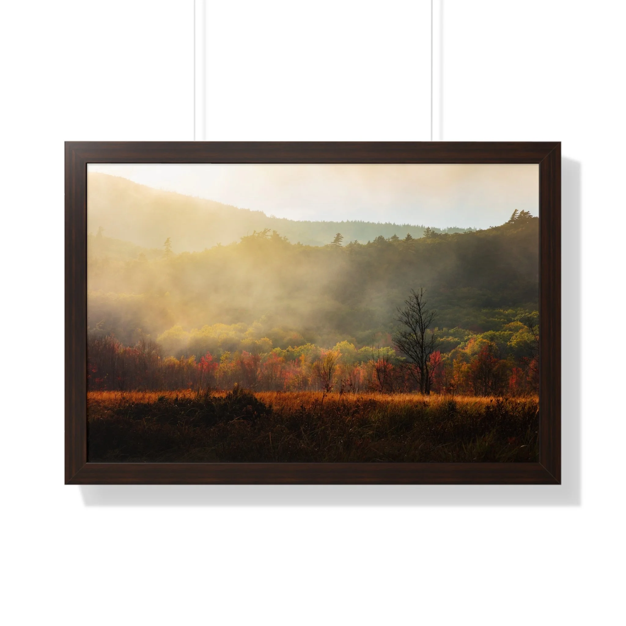 1a008ebdd935a1f298cff5b2ffbb457e