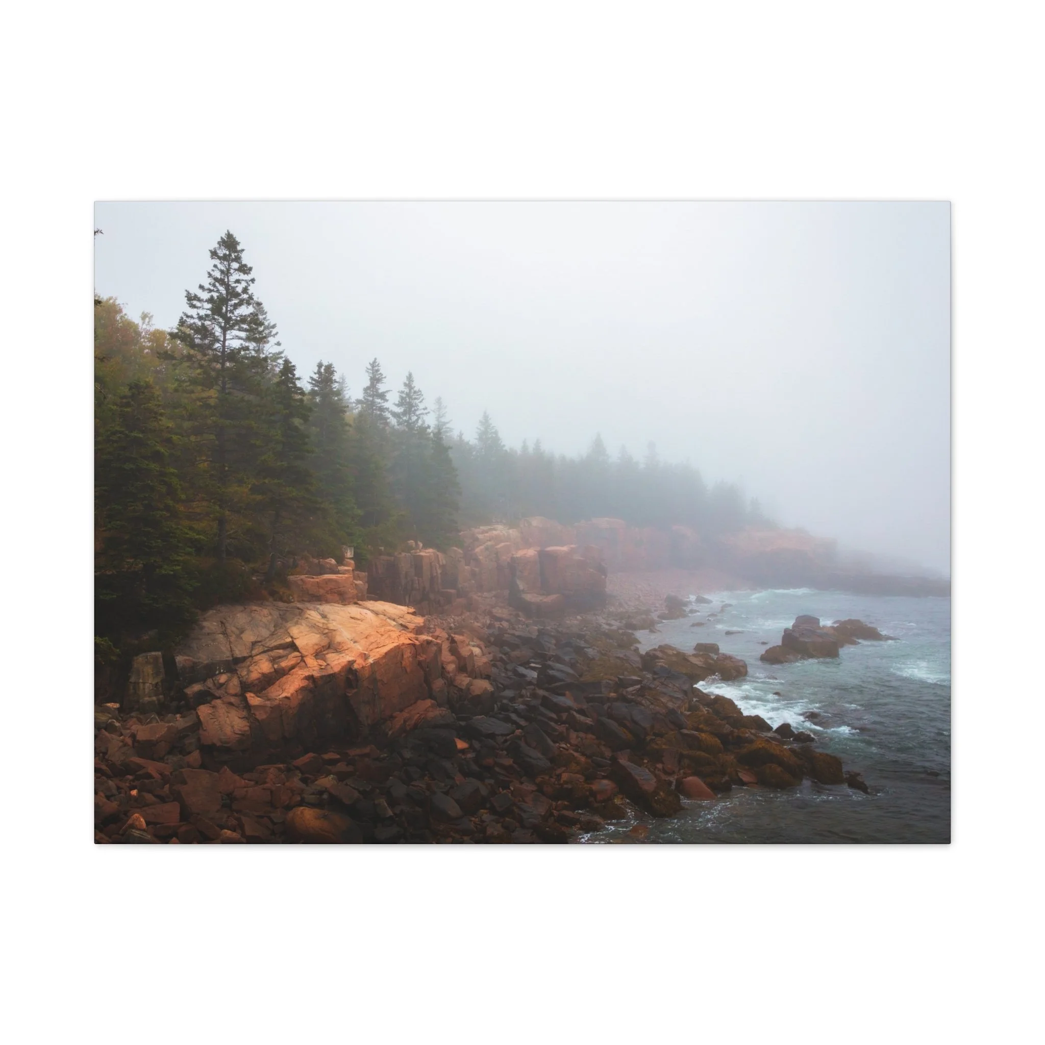 c448c86c9ba9f0ee8ab5cc38d792e412