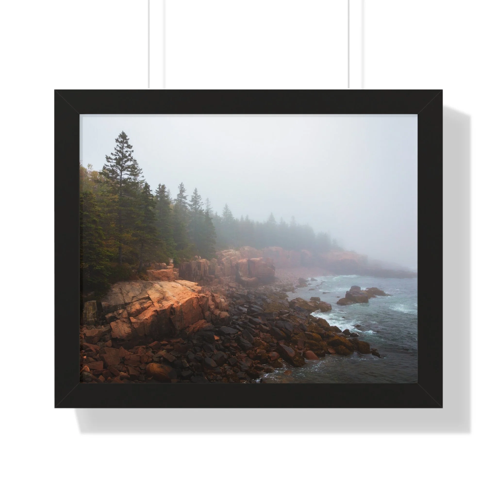 88ca4e56e01f9377c70d4dbc4b61e556