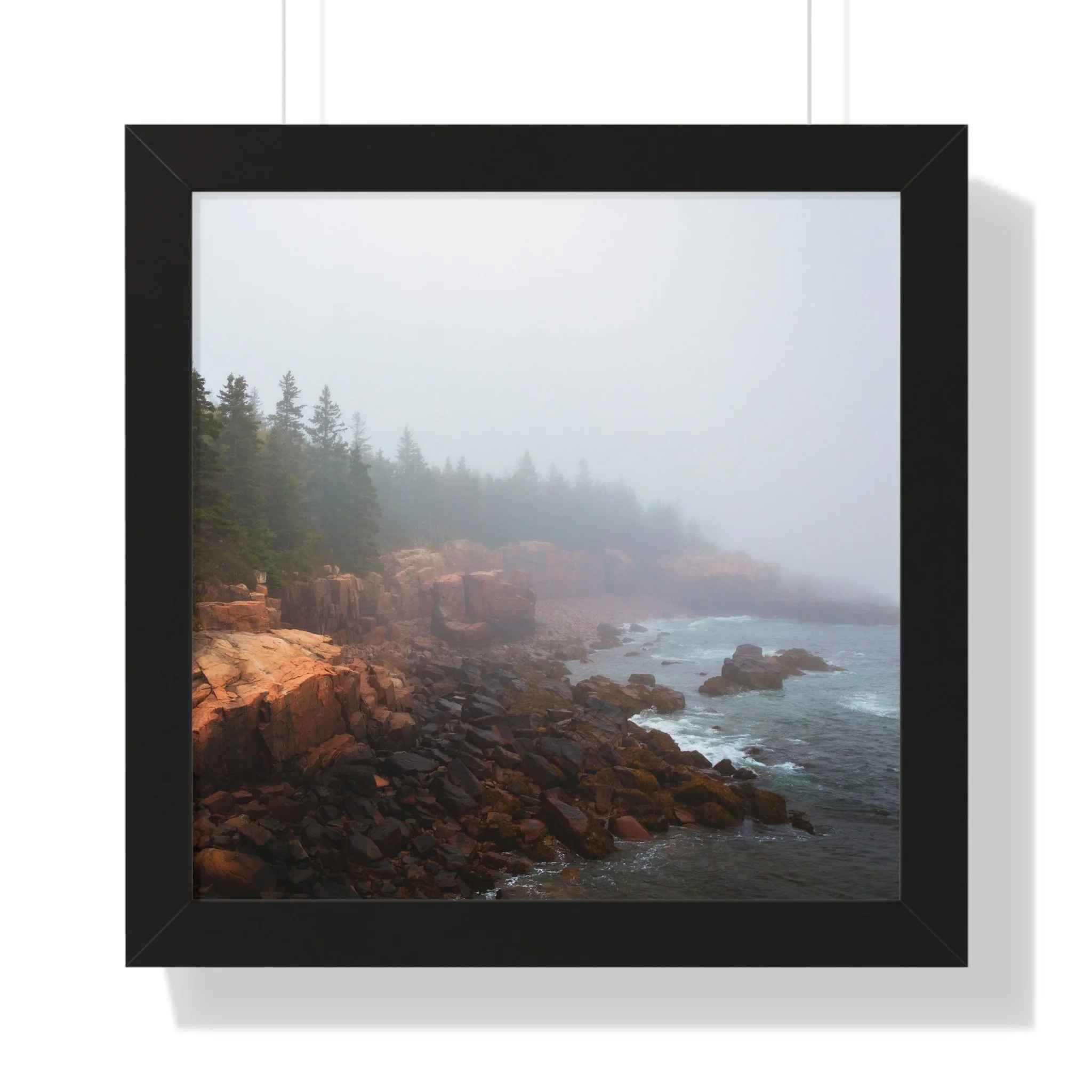 231f0fc3c8b280345f358f2b9e863b5e