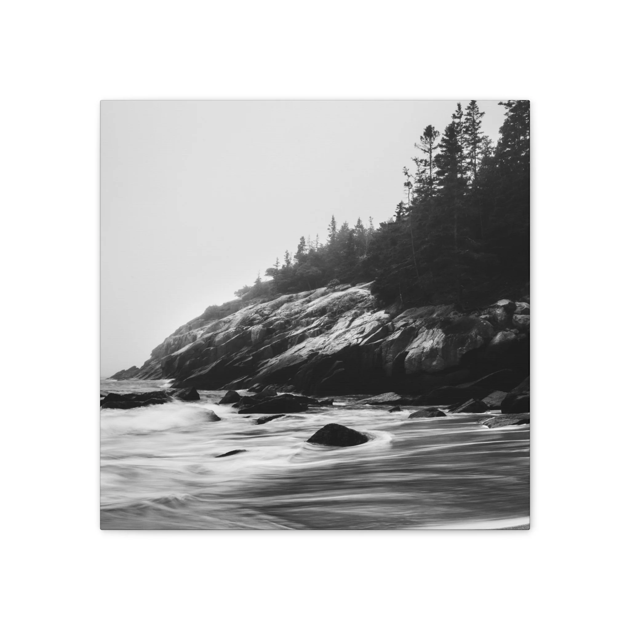 66f9708bc42fb32f0b3f769aa932a012