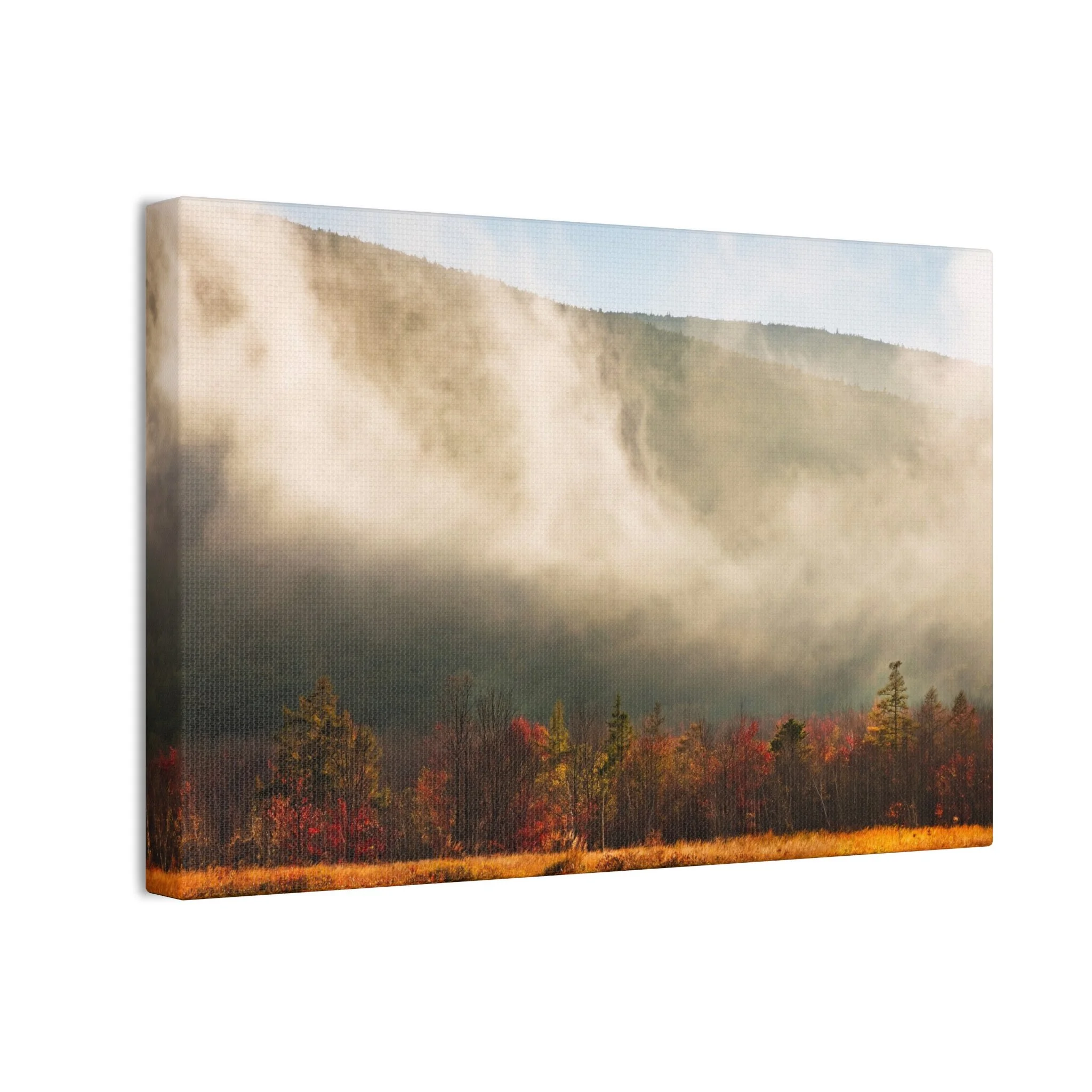 41a8437272533c3b6f82b9a5a52926bf