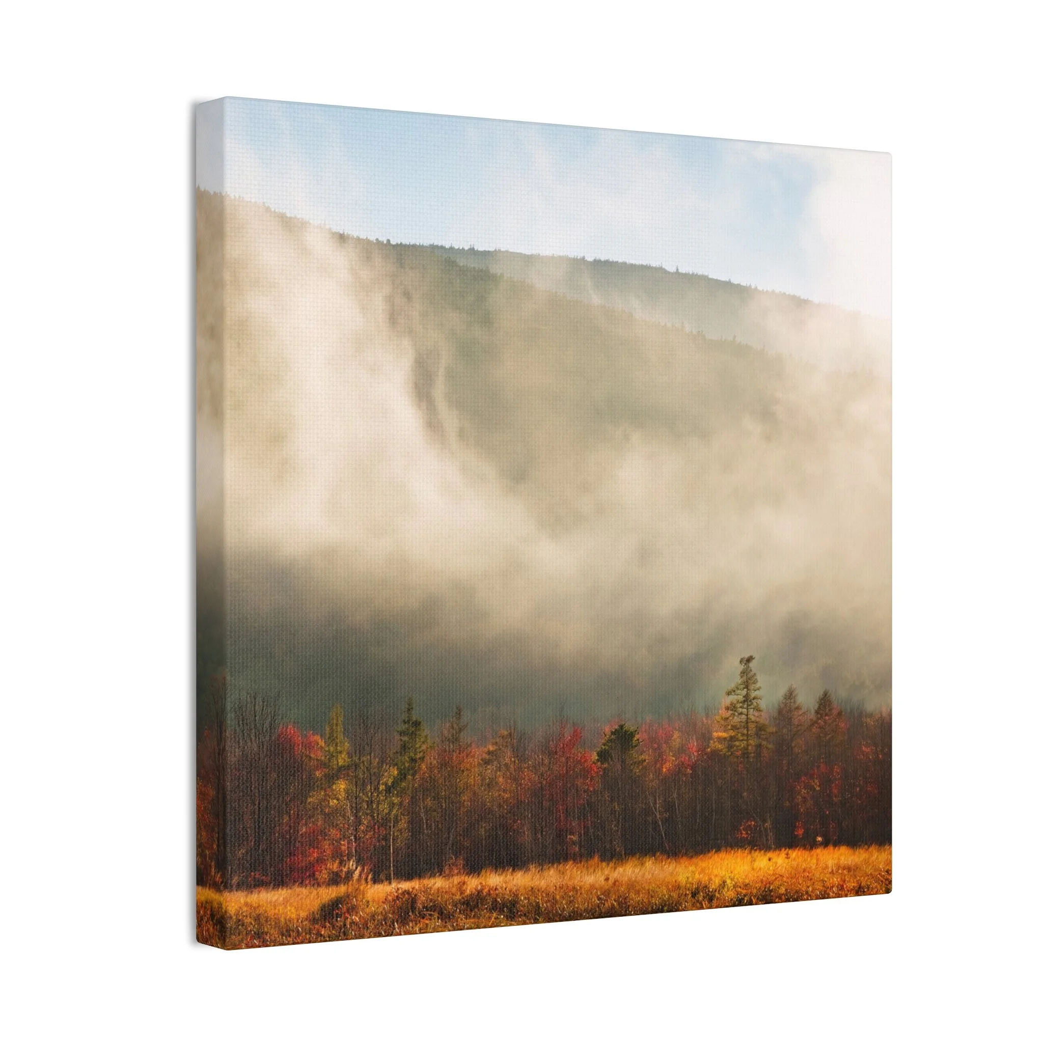 e7e765912868b7f00e27bce0cfa454b3