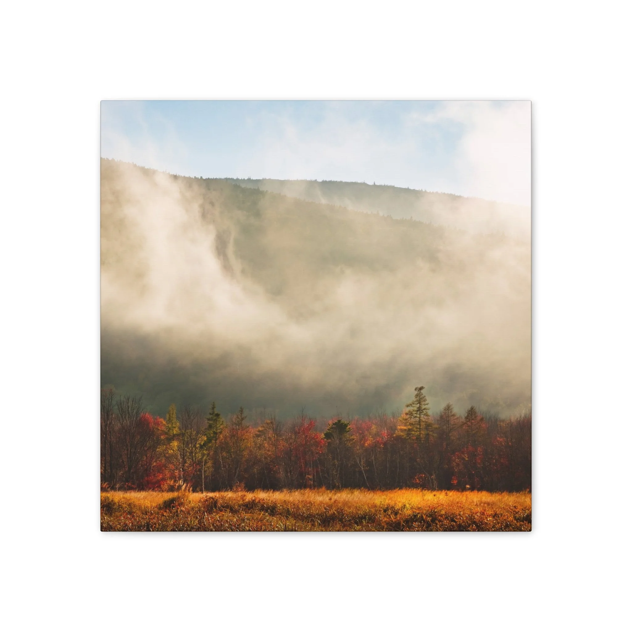 2530a4ee26ed91ca88b10ddeacff2d65