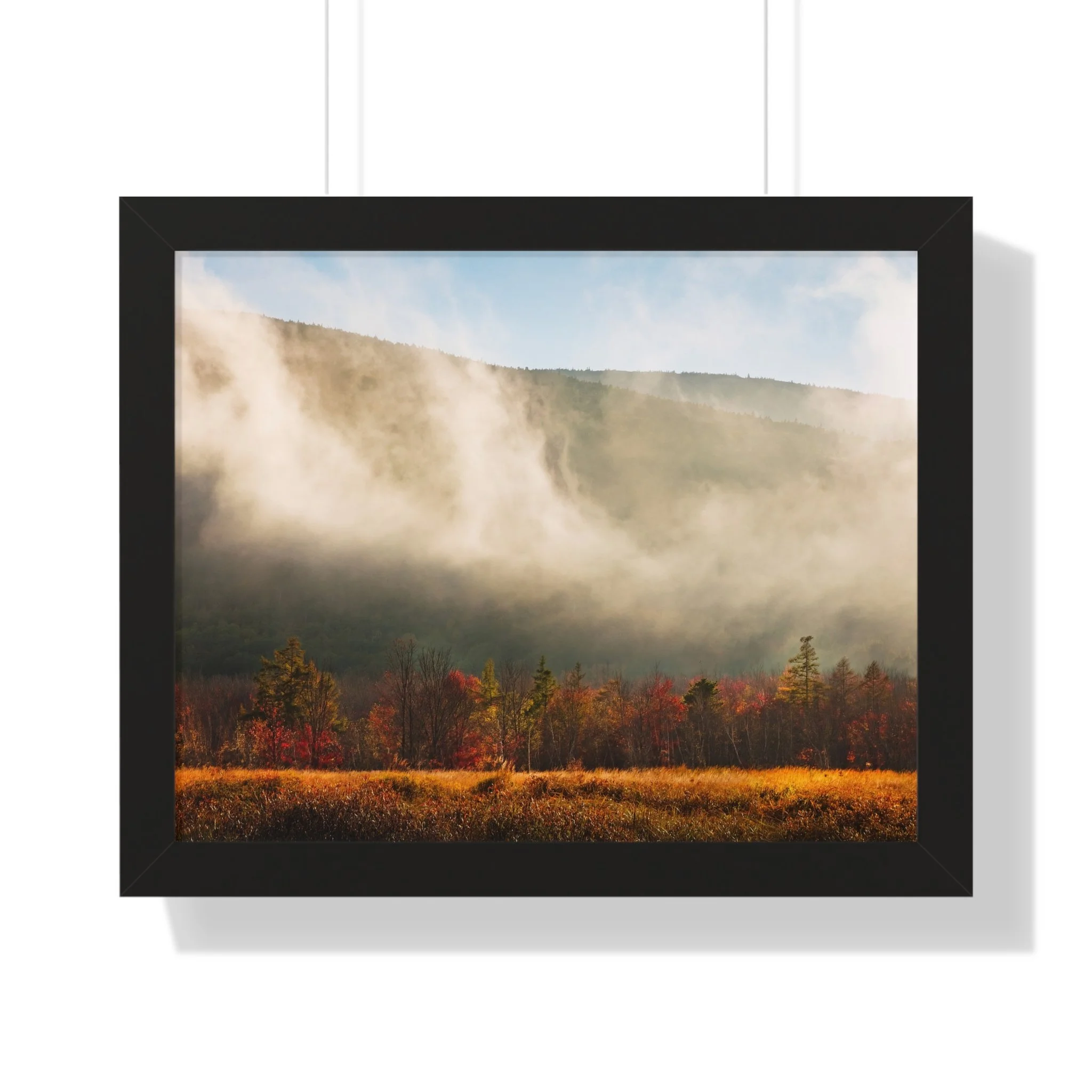 77b81f57bb5b67ddf41d7ca5e754d856