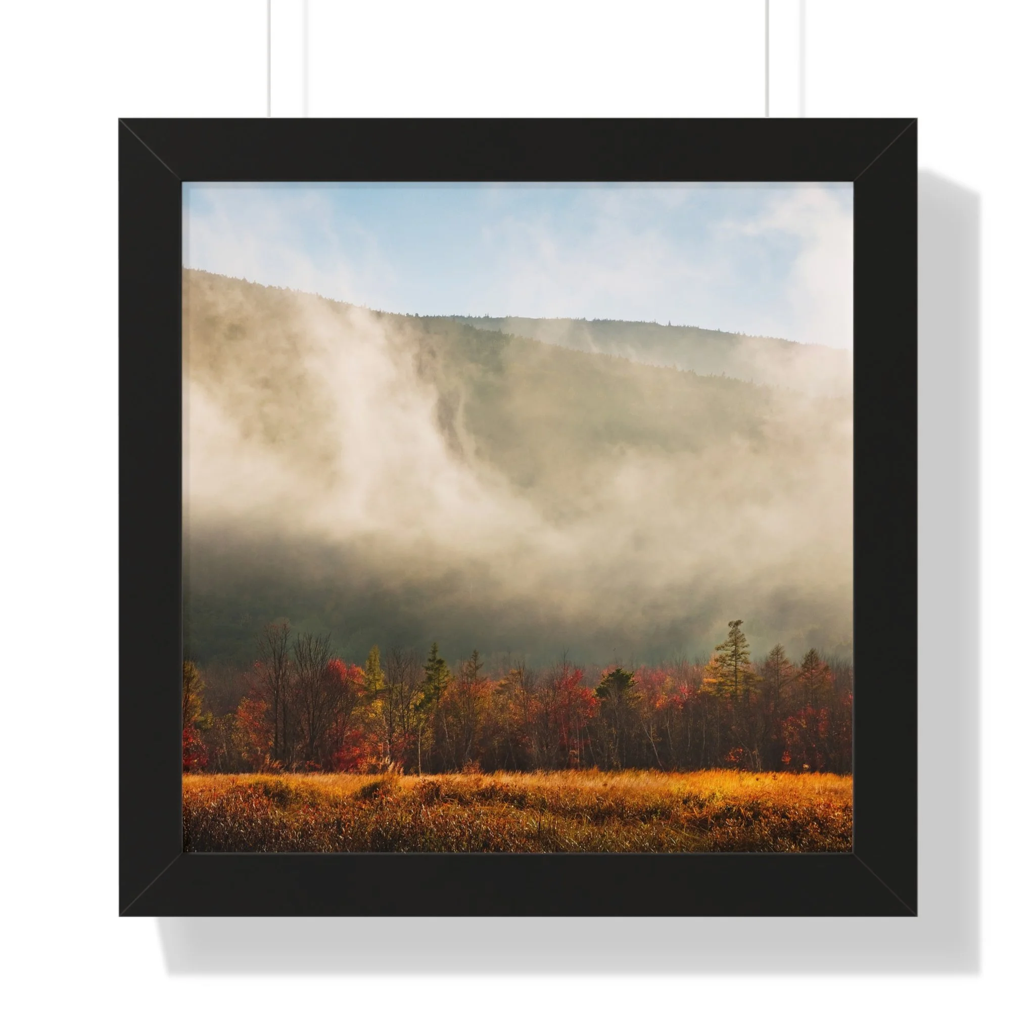 649f2c6dc93ddbcc2a26e2d993aac4ee