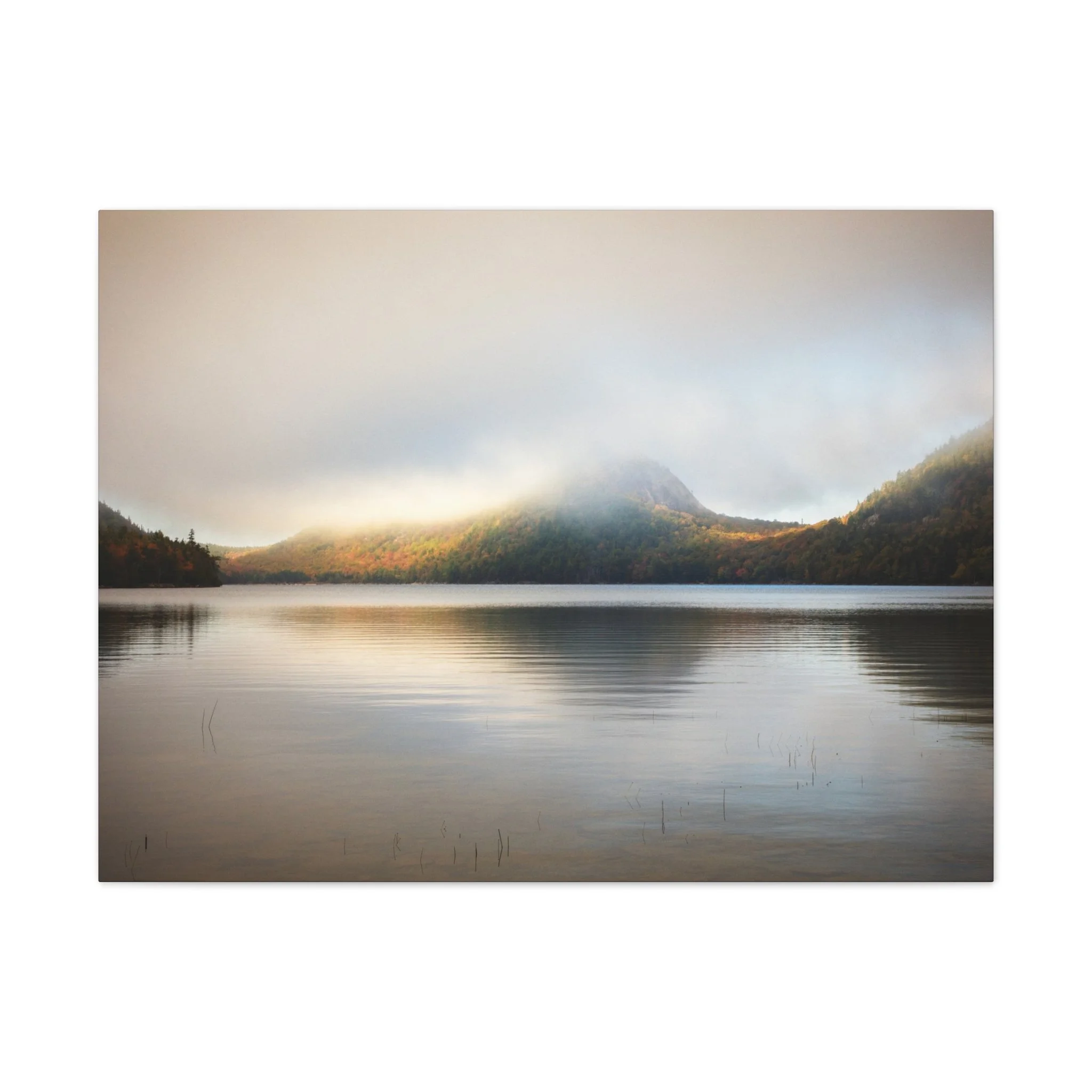 900579a837b99ba0f1e502fc56b76c8b