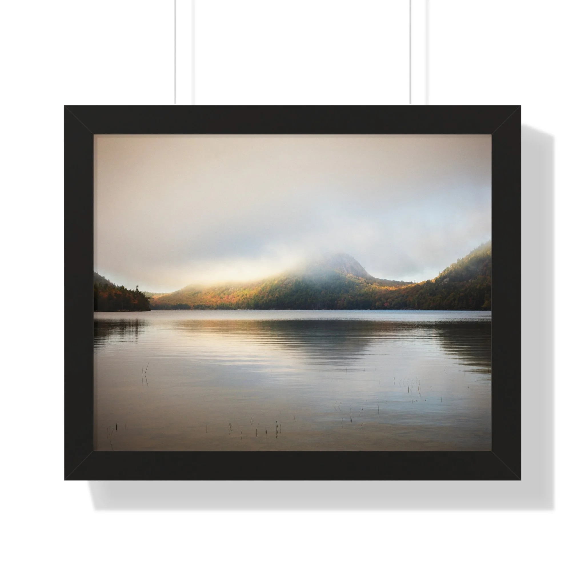 8187aecad51140dd55f323cc282139a8