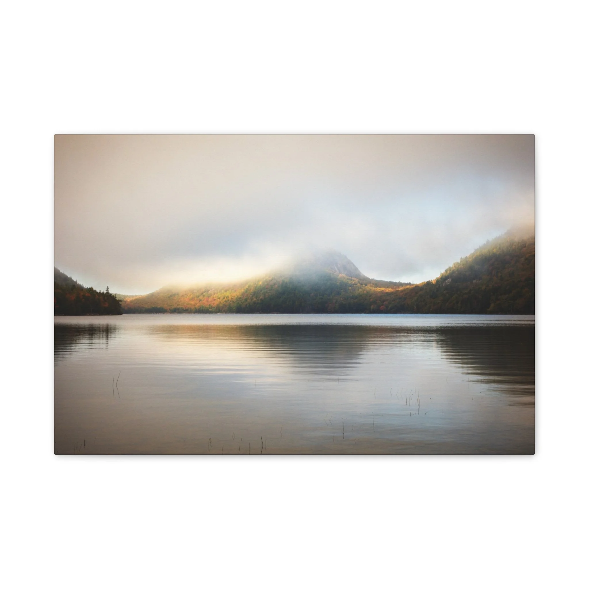 3643115dc097d8d79fc4d72acf8f5dac